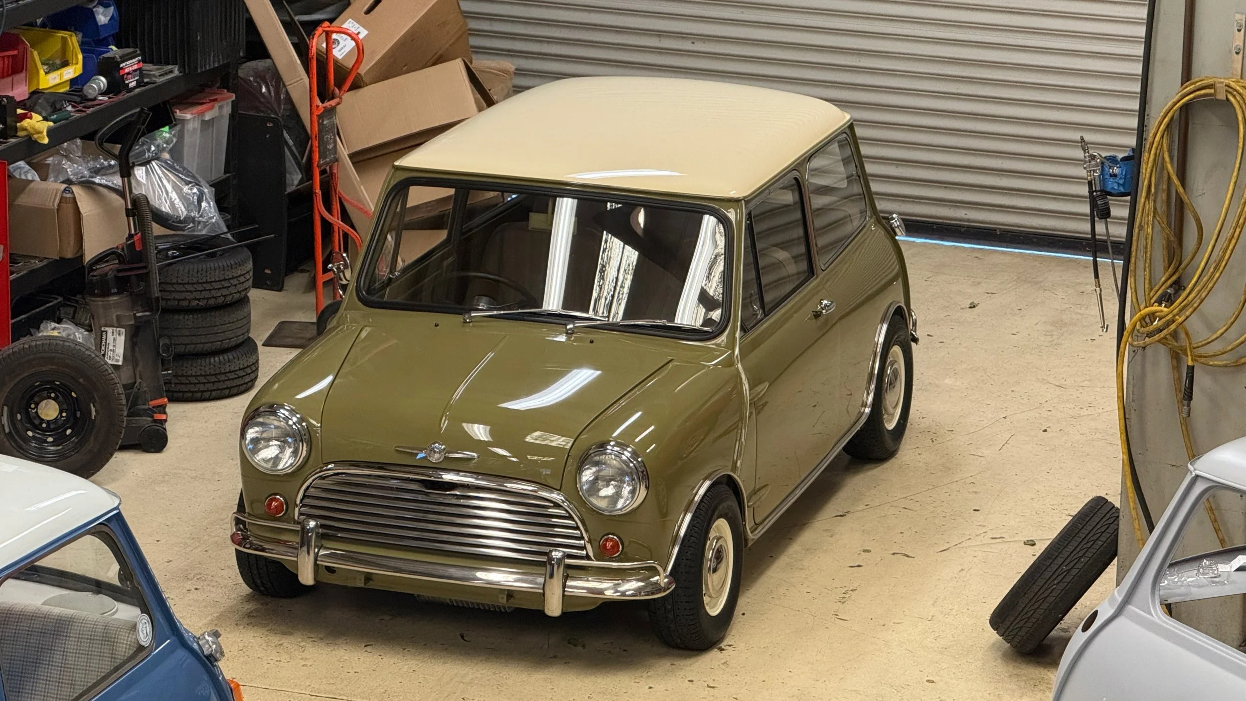 -#88 Pistachio (Brianne?)  - 17 of 17.jpeg