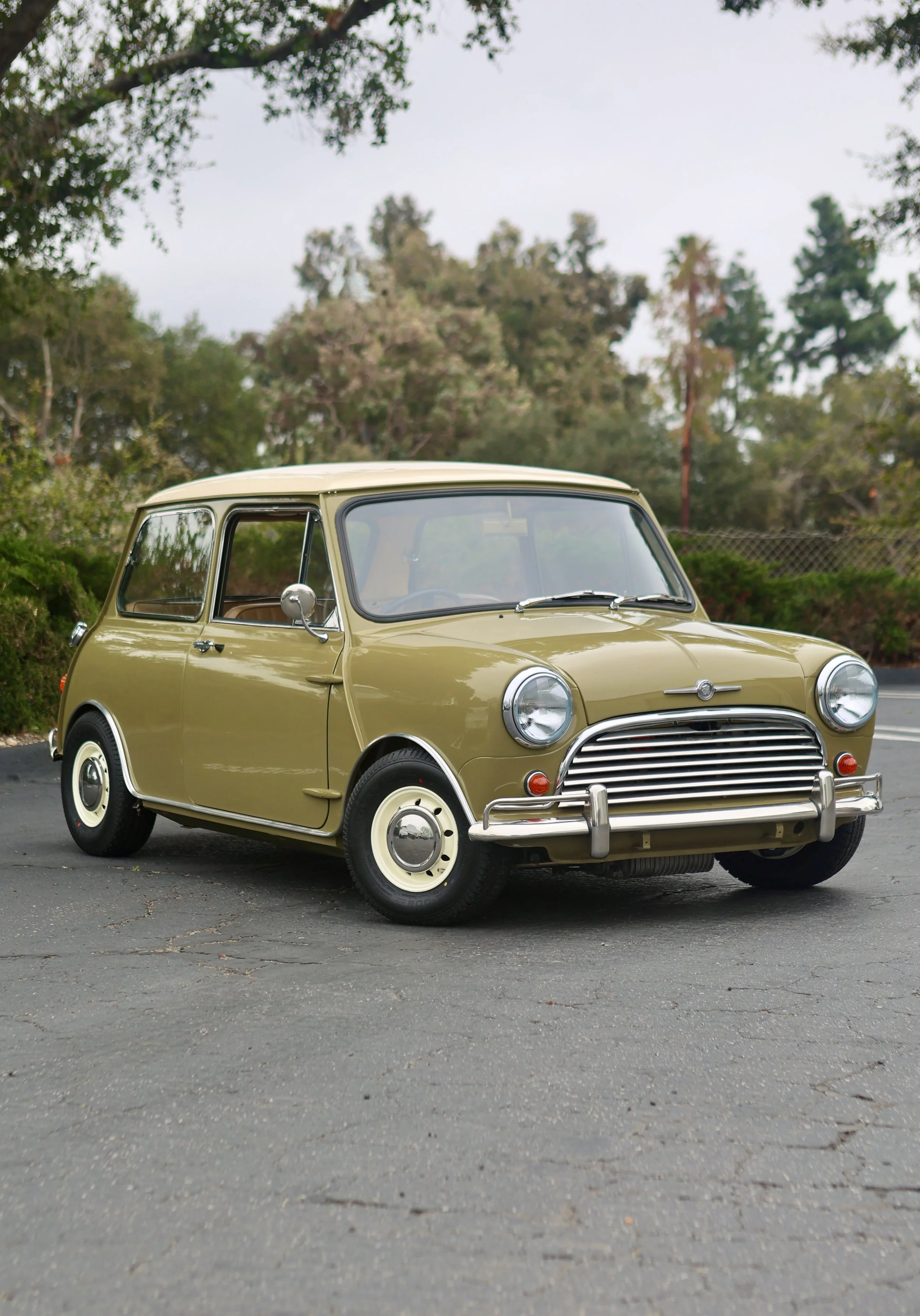 -#88 Pistachio (Brianne?)  - 1 of 31.jpeg