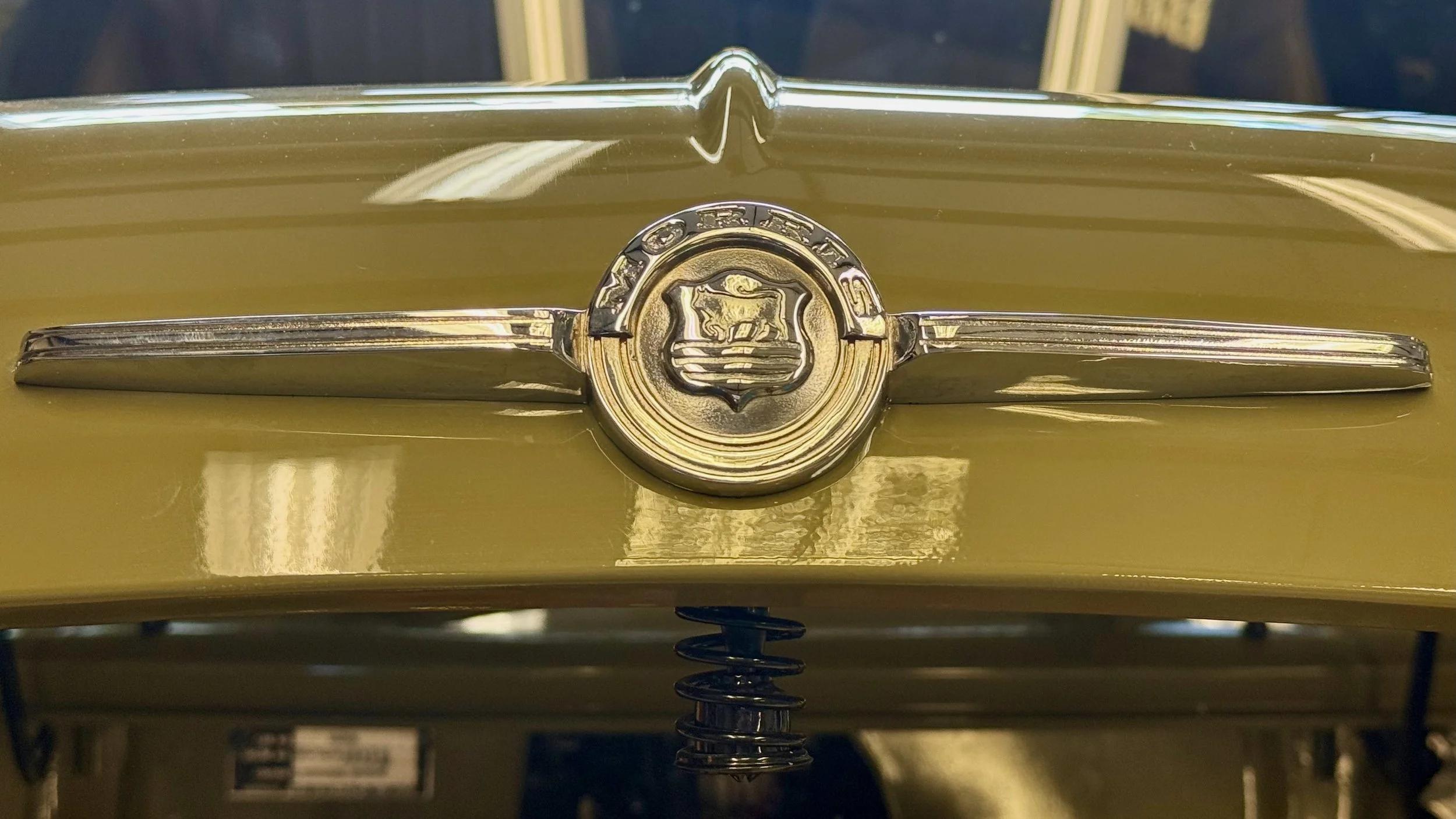 -#88 Pistachio (Brianne?)  - 16 of 32.jpeg