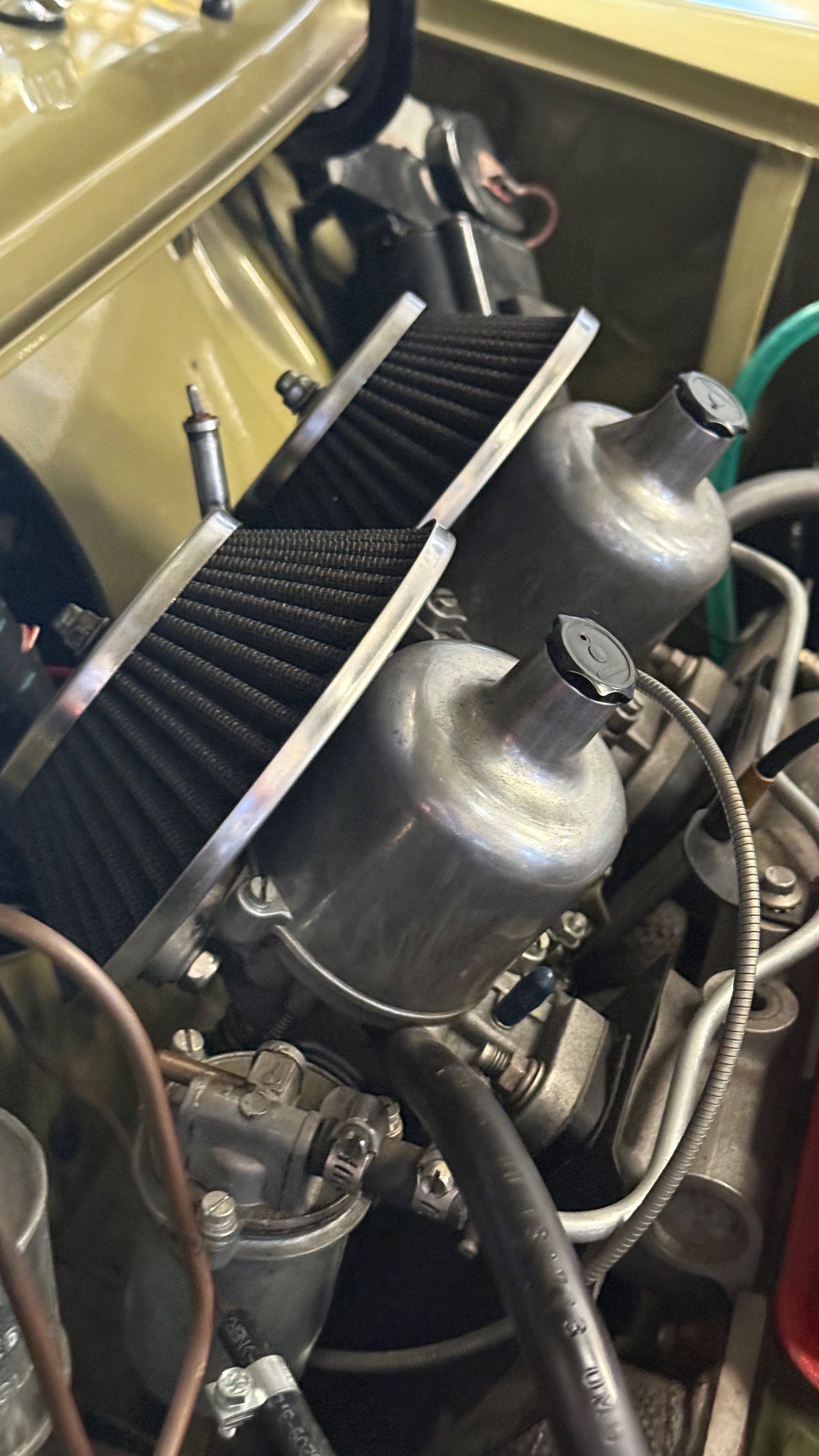 -#88 Pistachio (Brianne?)  - 13 of 32.jpeg