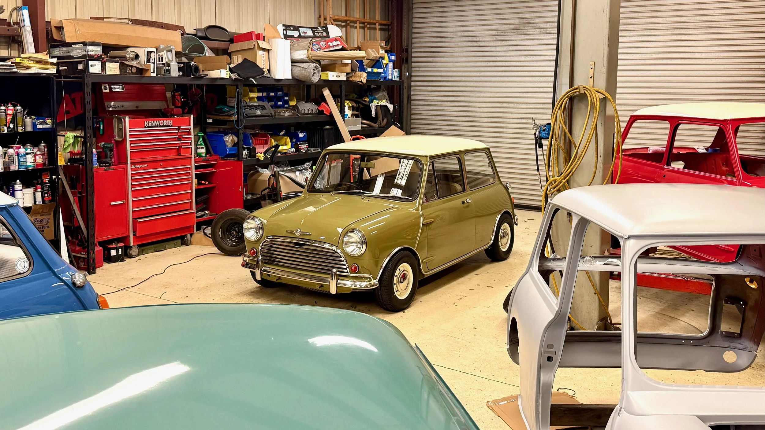 -#88 Pistachio (Brianne?)  - 9 of 17.jpeg