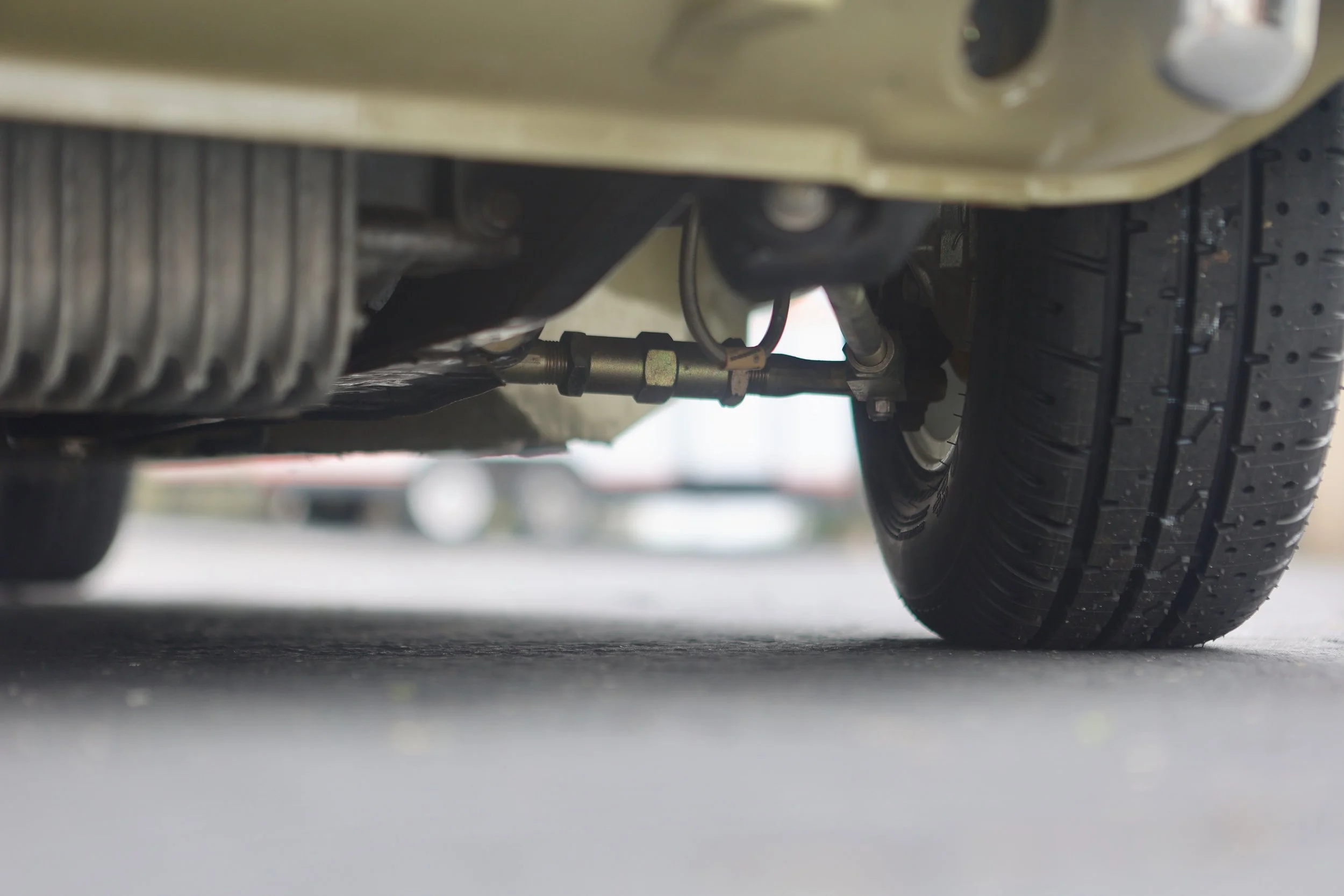 -#88 Pistachio (Brianne?)  - 26 of 31.jpeg