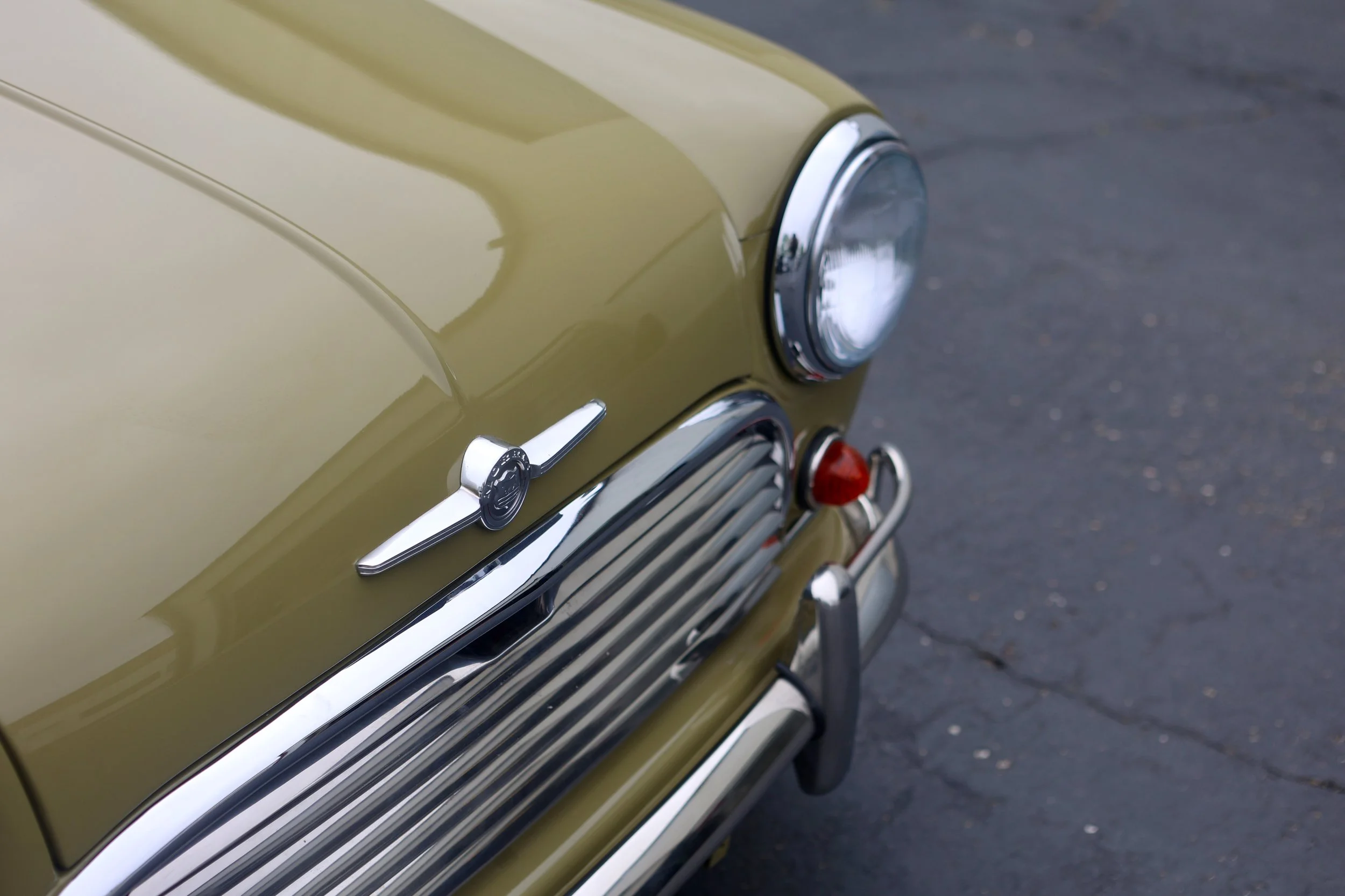 -#88 Pistachio (Brianne?)  - 17 of 31.jpeg