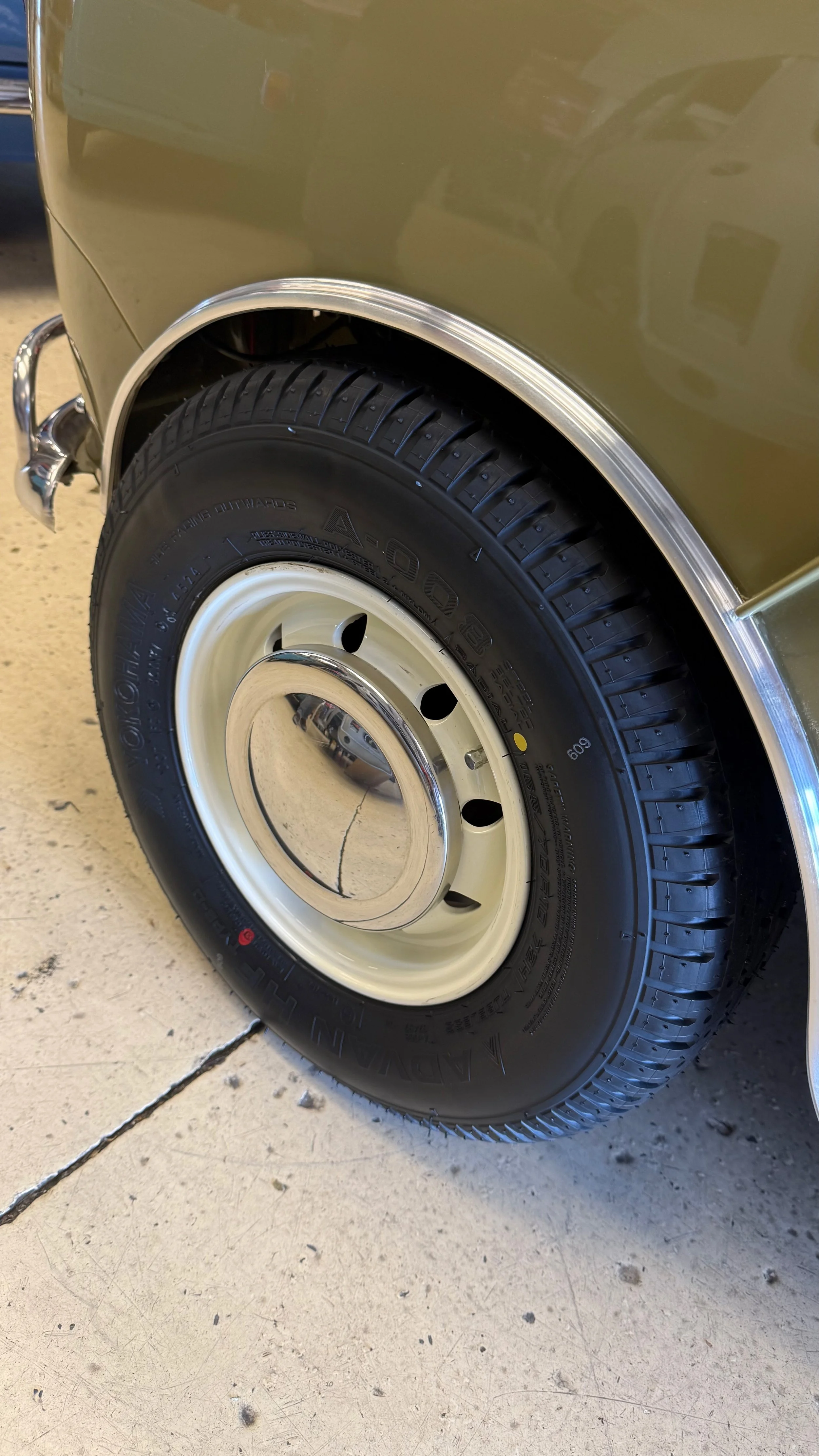 -#88 Pistachio (Brianne?)  - 11 of 17.jpeg