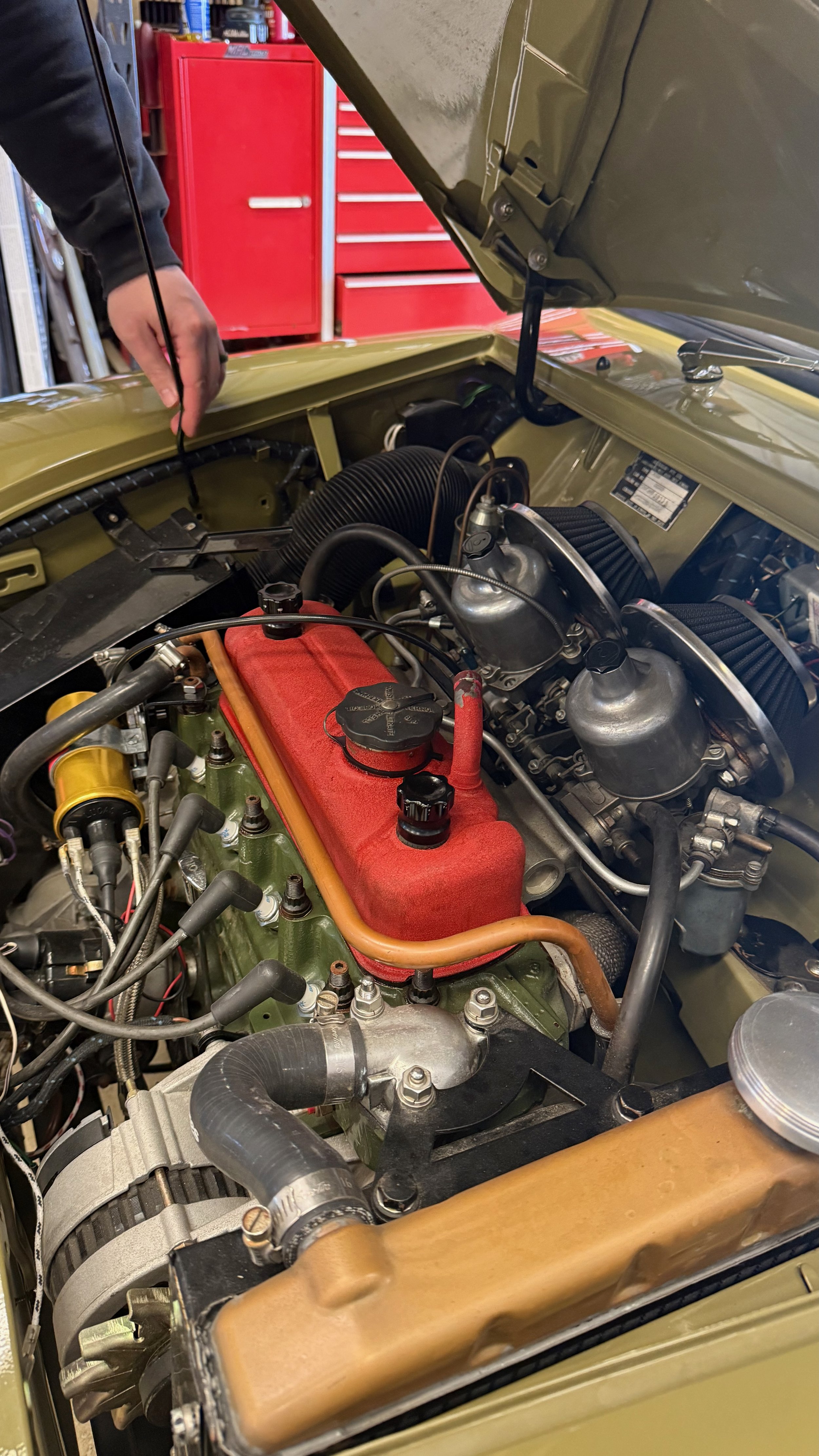 -#88 Pistachio (Brianne?)  - 7 of 7.jpeg