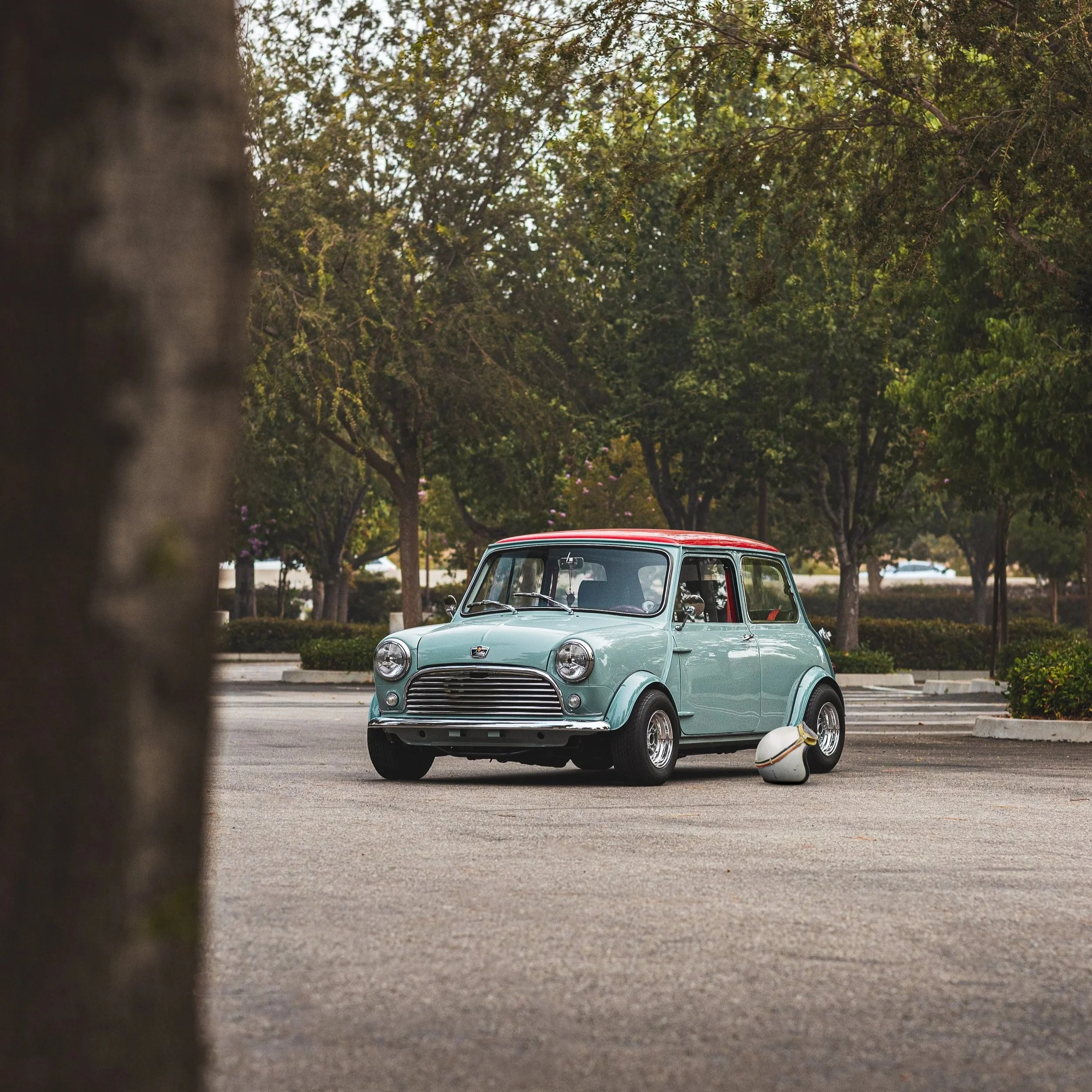 6Z8A6844-Edit.jpg