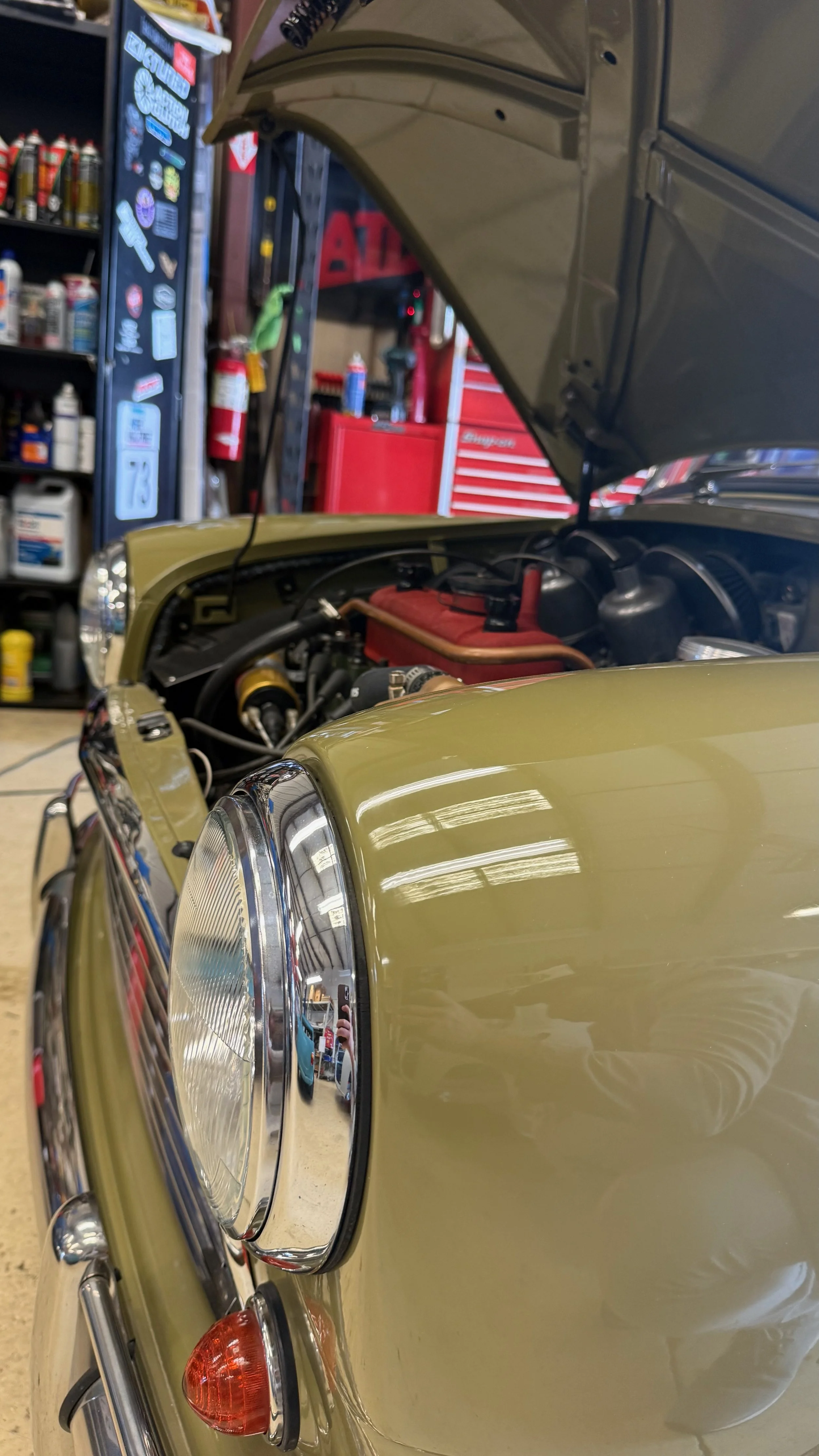 -#88 Pistachio (Brianne?)  - 3 of 7.jpeg