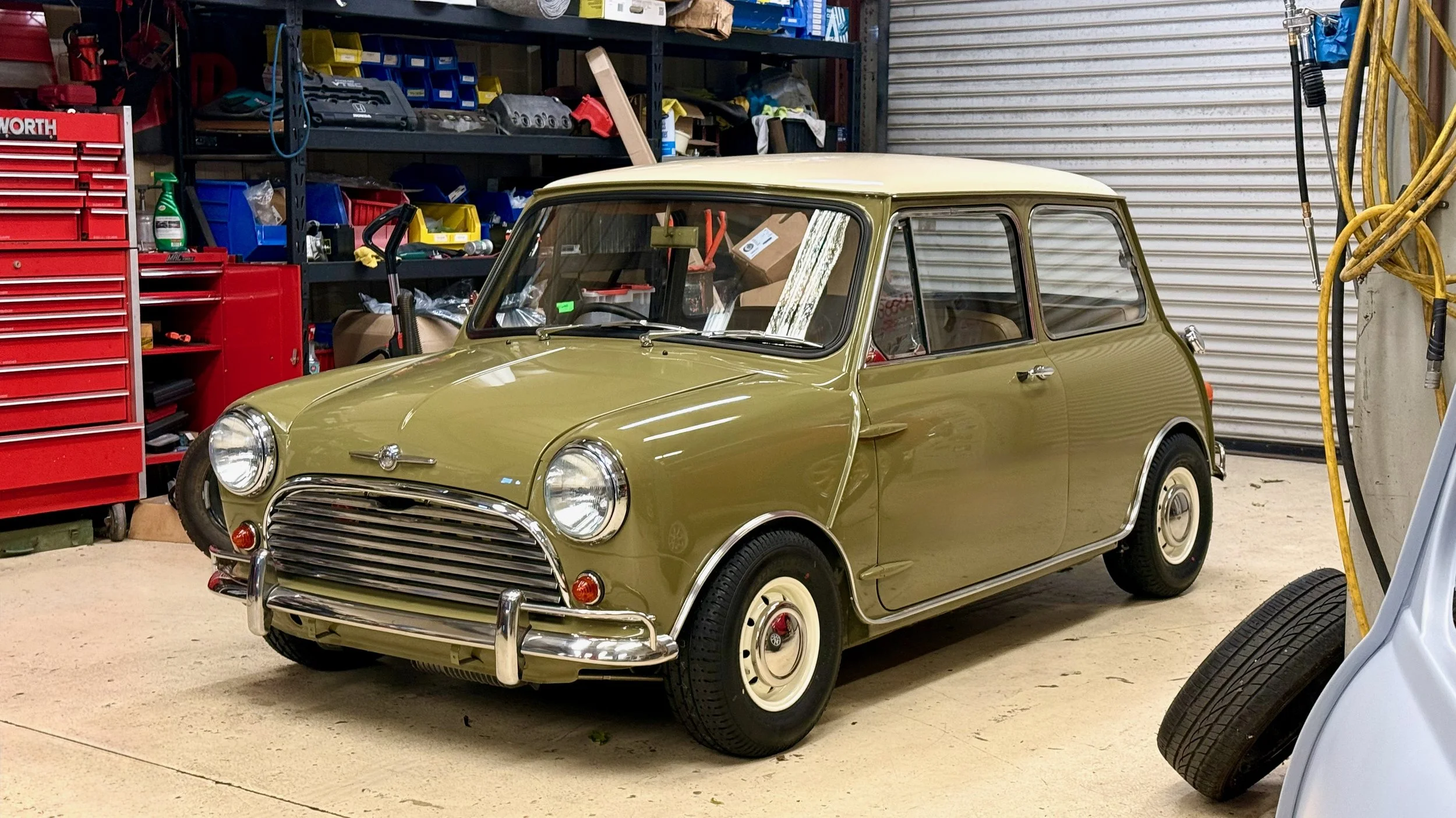 -#88 Pistachio (Brianne?)  - 2 of 7.jpeg