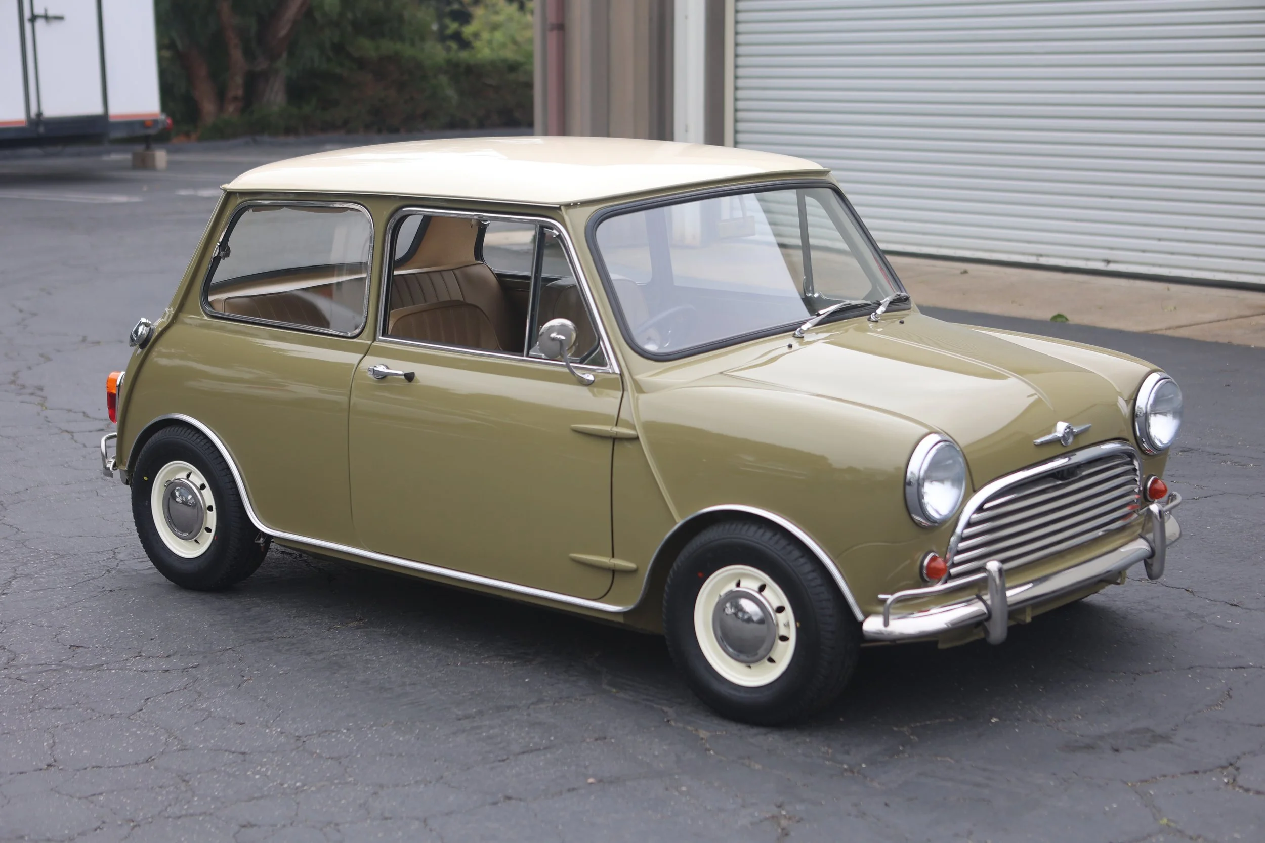 -#88 Pistachio (Brianne?)  - 8 of 31.jpeg