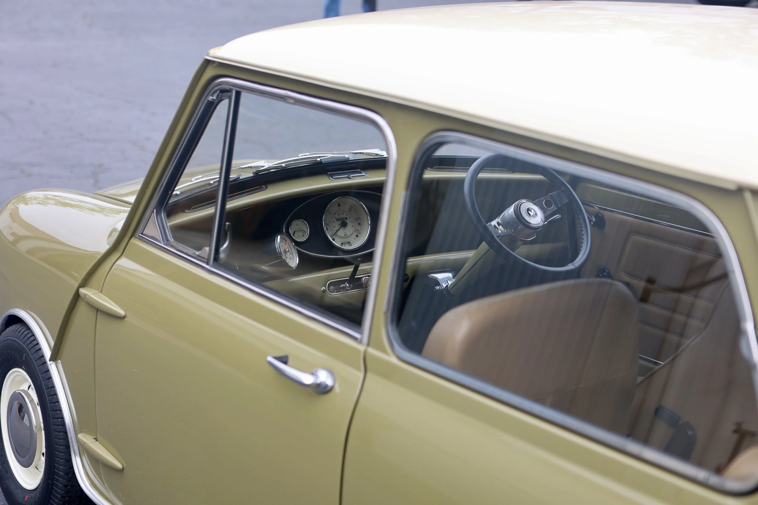 -#88 Pistachio (Brianne?)  - 20 of 31.jpeg