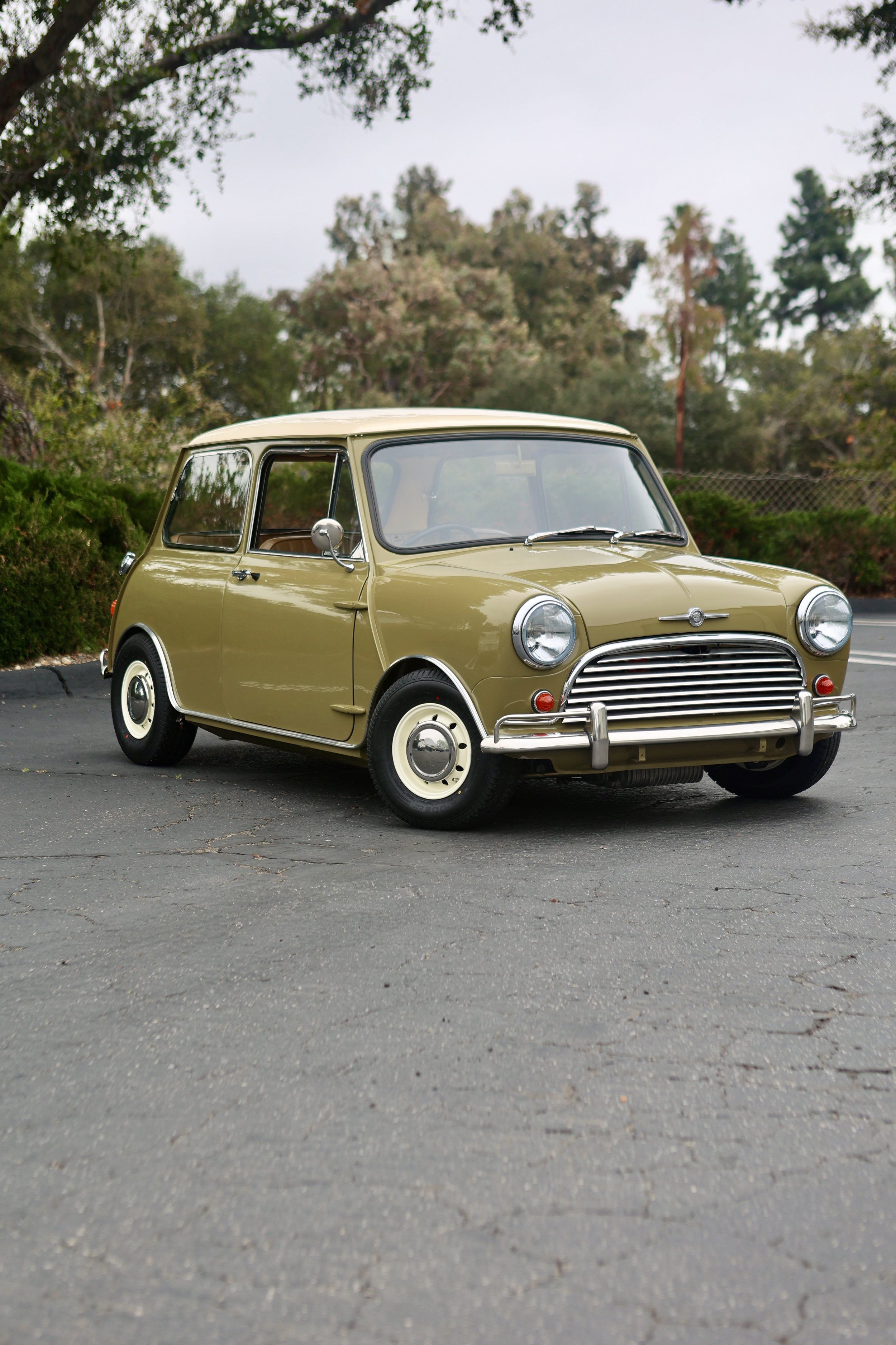 -#88 Pistachio (Brianne?)  - 2 of 31.jpeg