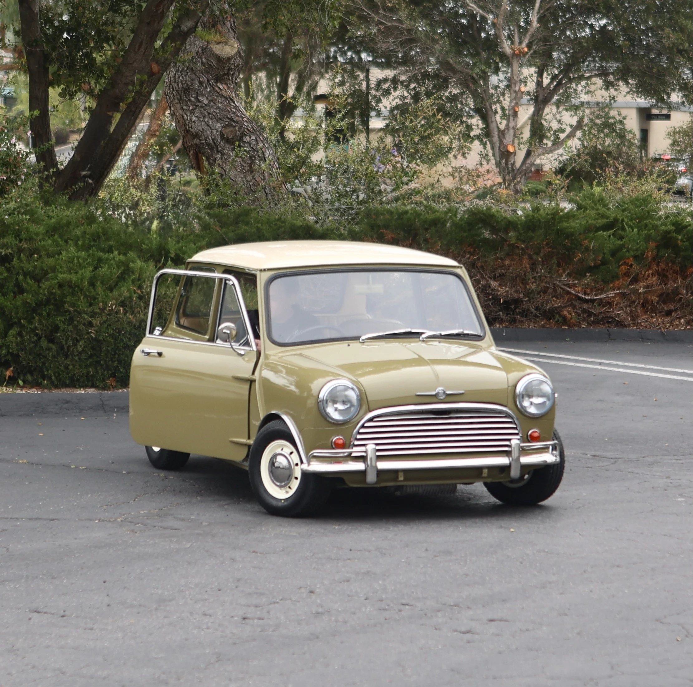 -#88 Pistachio (Brianne?)  - 7 of 31.jpeg