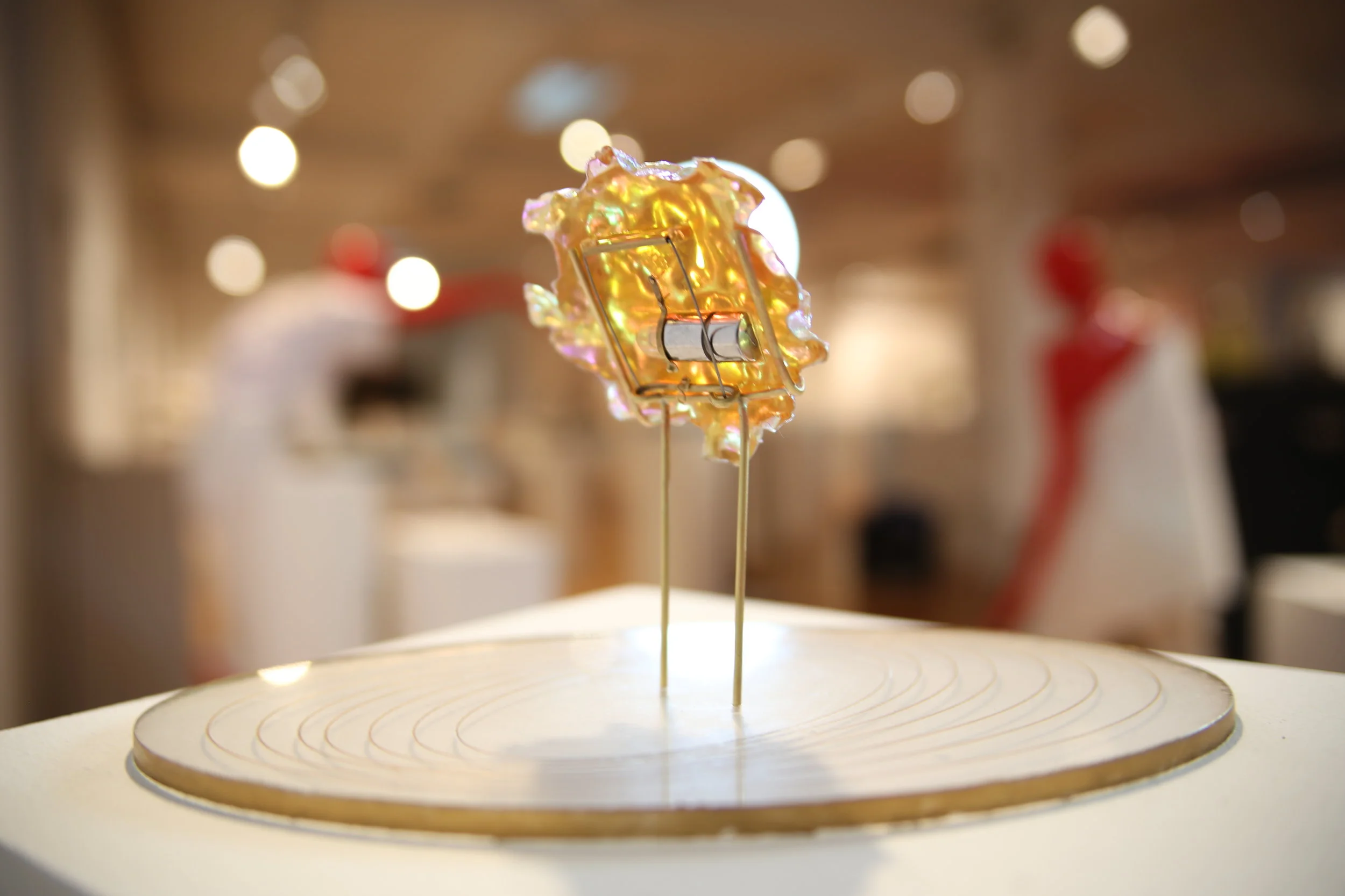  Behind the Brooch 