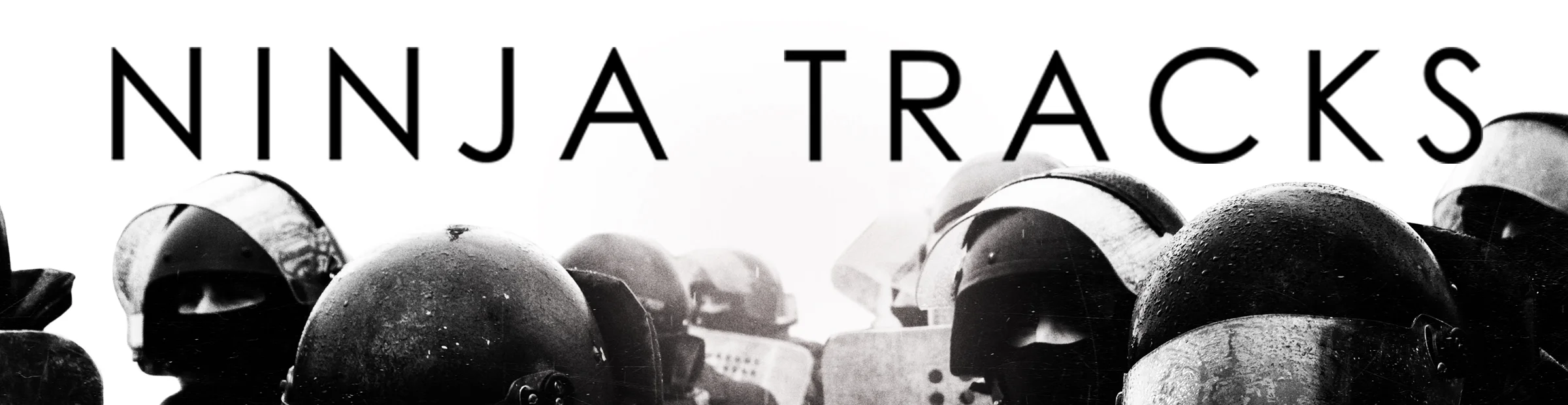 RESIST - Strip Big Header NT.jpg