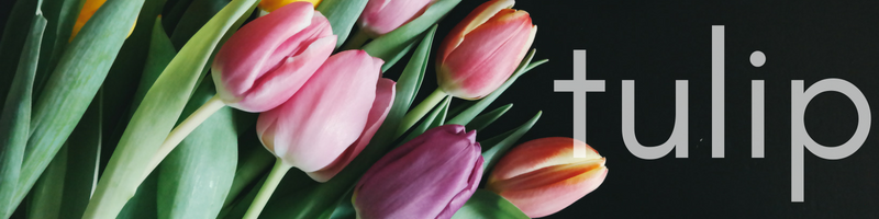 All that's in violet + an individual, personalized 50 minute nature mediation & coaching call and individual access to me during the time of the group.