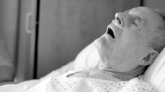 you look so familiar