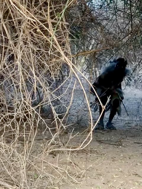 We spent time with two Hadza camps &mdash; Nona and Tlokota, just 4 km apart but facing the same seasonal challenges.

The long, hot summer has dried everything, even the grasses used to cover their huts. Both camps shared their plan to move from ope