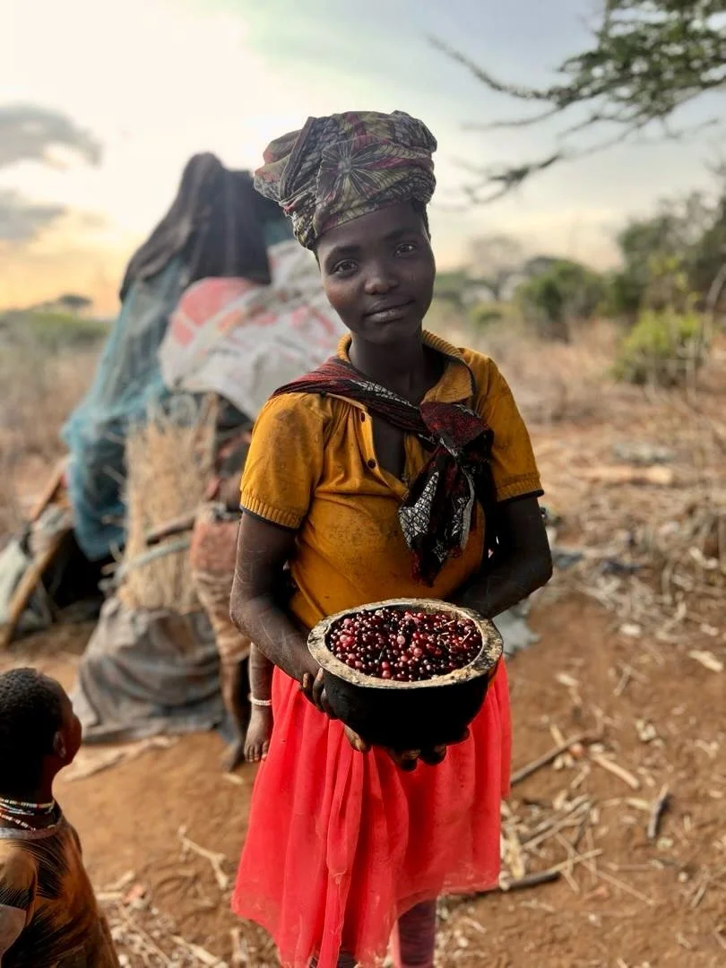 Tafabe&rsquo;e fruit at Endajach camp 🫐🌿🥣. Tafabe&rsquo;e is in season right now, especially in Endajach, Mang&rsquo;ola, Hukumako, and Sengele. The women are preparing the berries, which are ground and mixed with ugali to make the staple meal mor