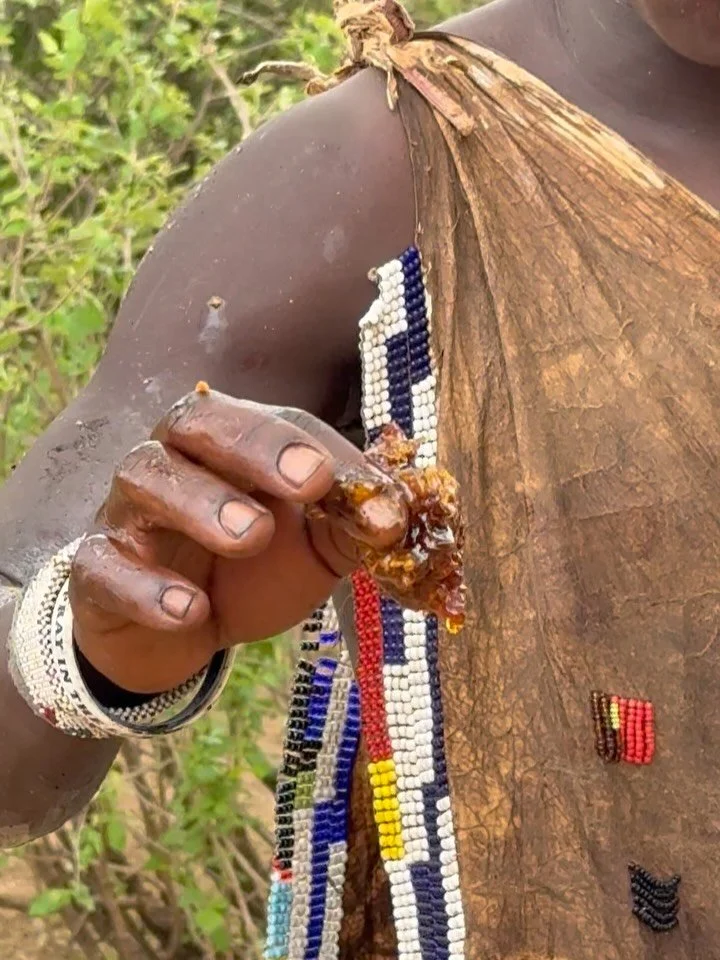Some moments from today&rsquo;s honey gather with our friends //&lsquo;o//&lsquo;a, Ha!&rsquo;a, and Ha!&rsquo;a!&rsquo;upu&rsquo;u. This was a big day after not having found wild honey for 5 months&mdash;and it was Meleka&rsquo;s Chairman Endeko who