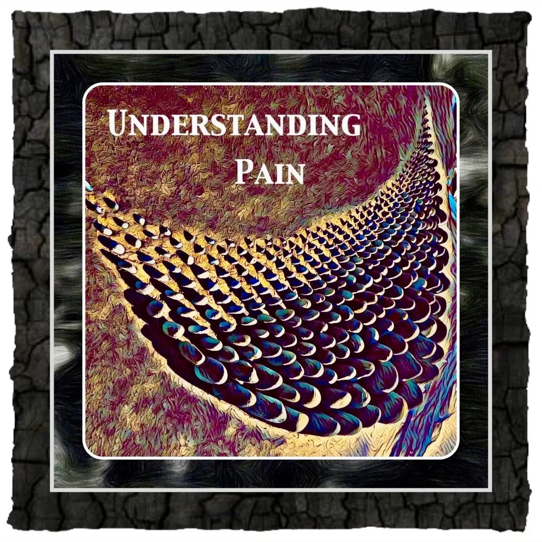Understanding Pain with Jonathan C Primack May 2024