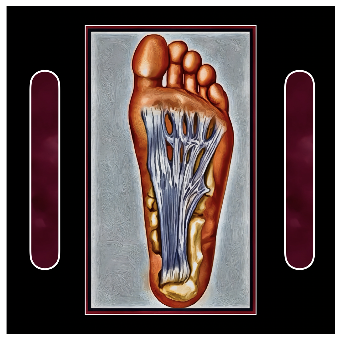 (Hybrid Workshop) Integrative Sequencing and Strategies for Plantar Fascia and Other Common Foot &amp; Ankle Issues 2026