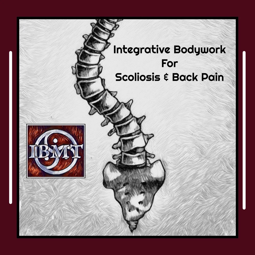 IBMT Workshops — INTEGRATION NATION BODYWORK