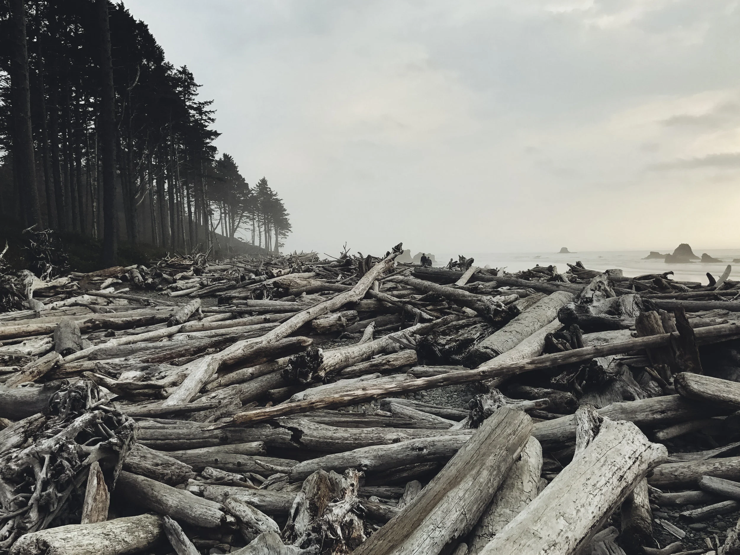 beach 2 (1 of 1).jpg