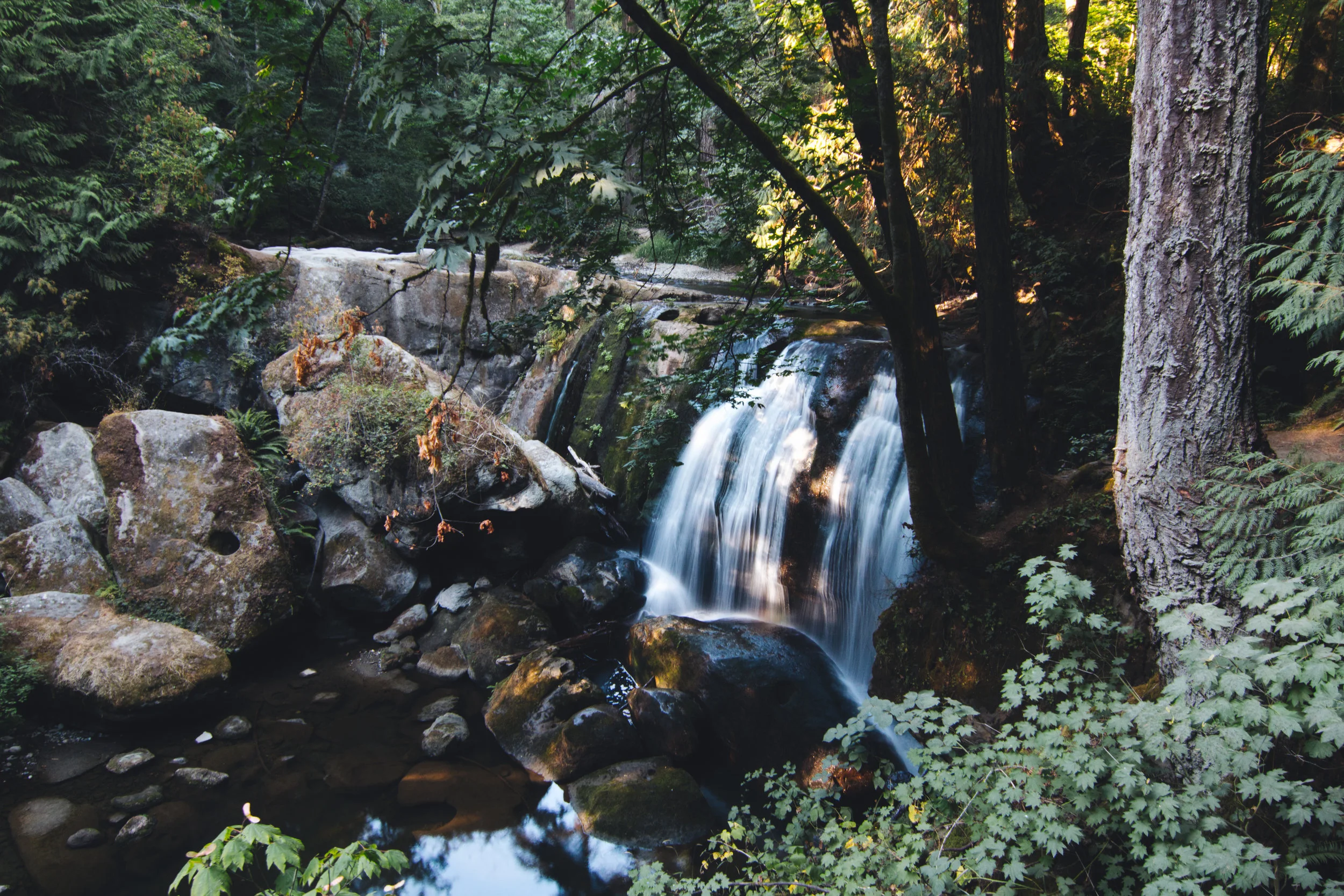 bellingham waterfall (1 of 1).jpg