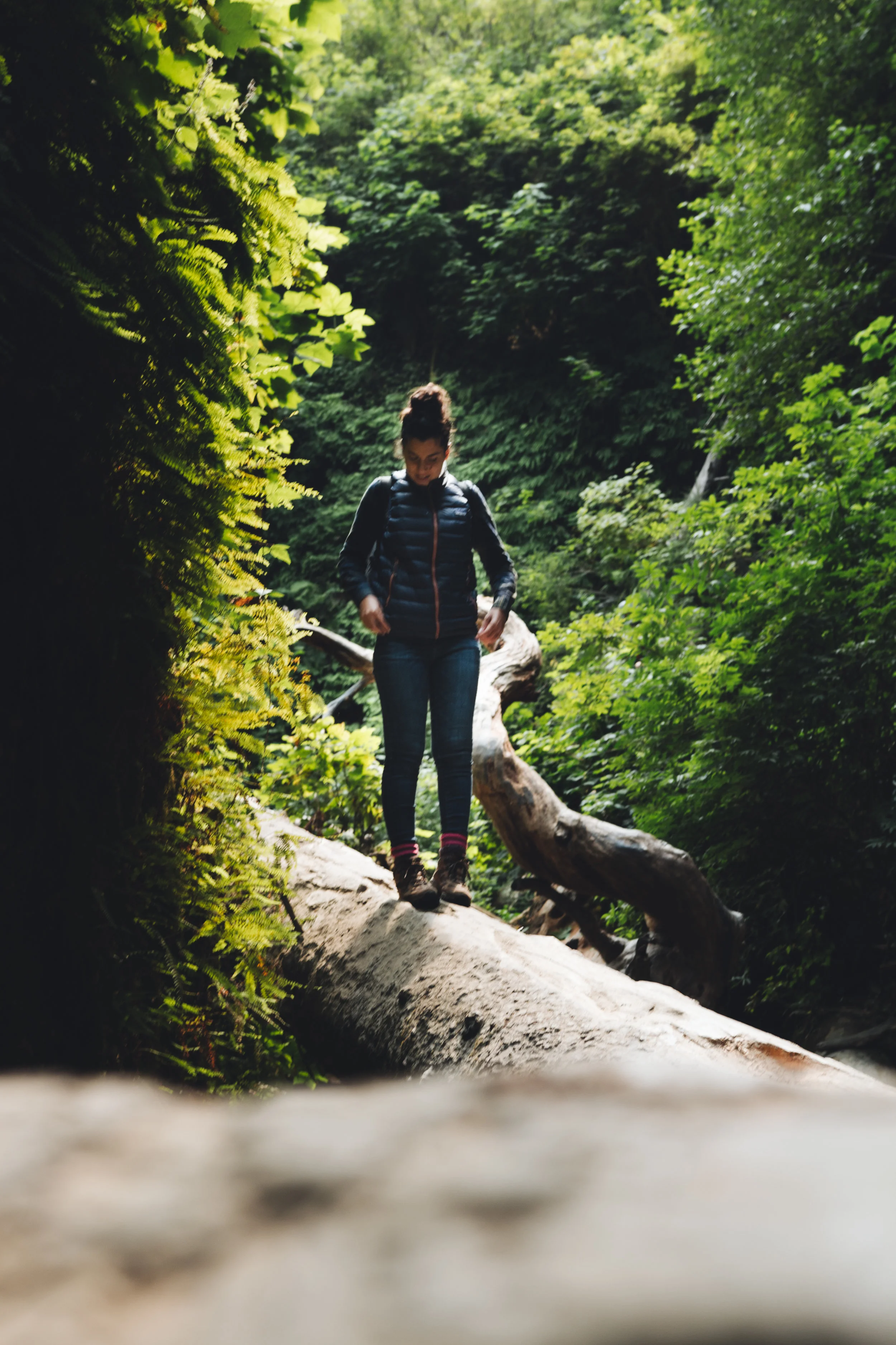 billy goat (1 of 1).jpg