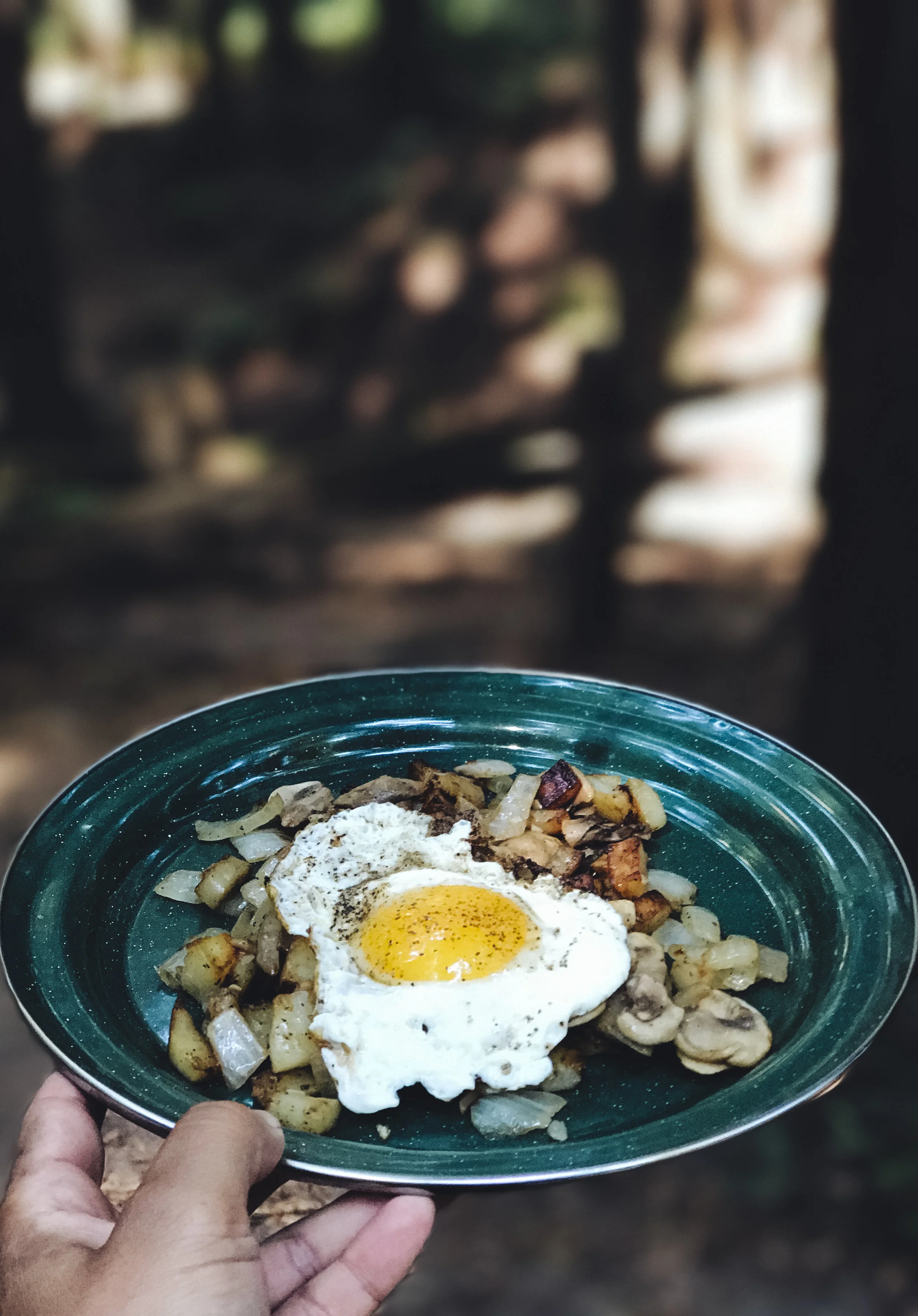 breakfasst 2 (1 of 1).jpg