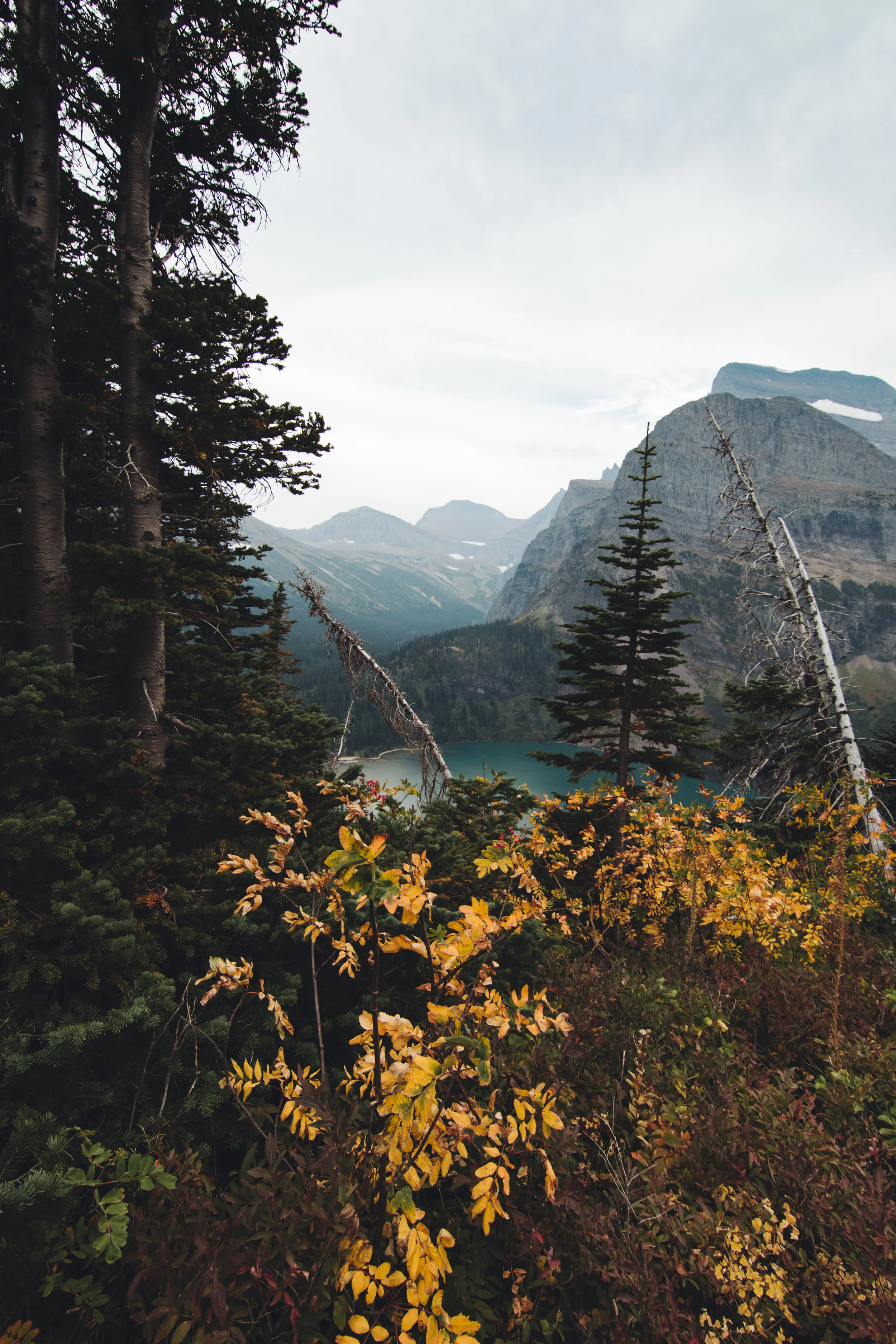 glacier hik 2 (1 of 1).jpg