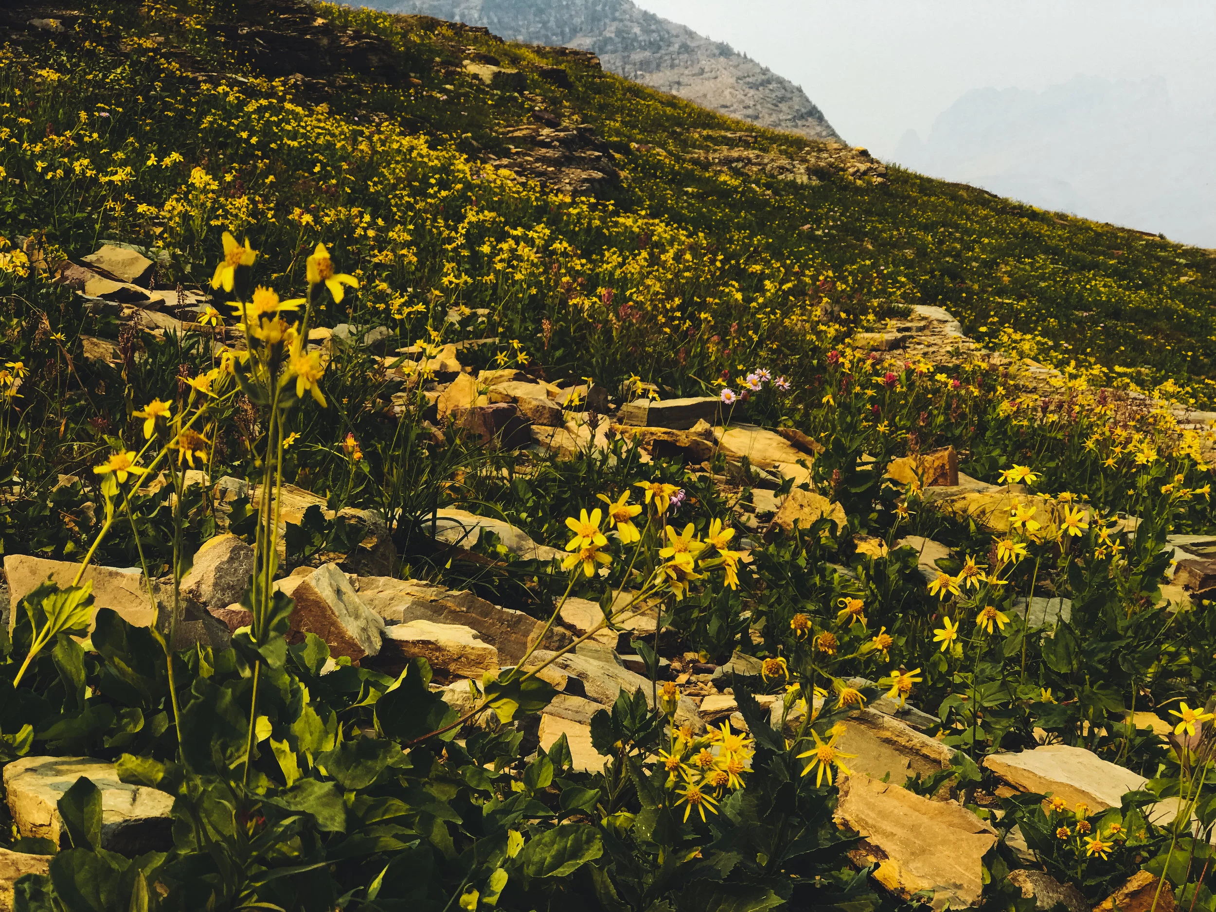 glacier hik 7 (1 of 1).jpg