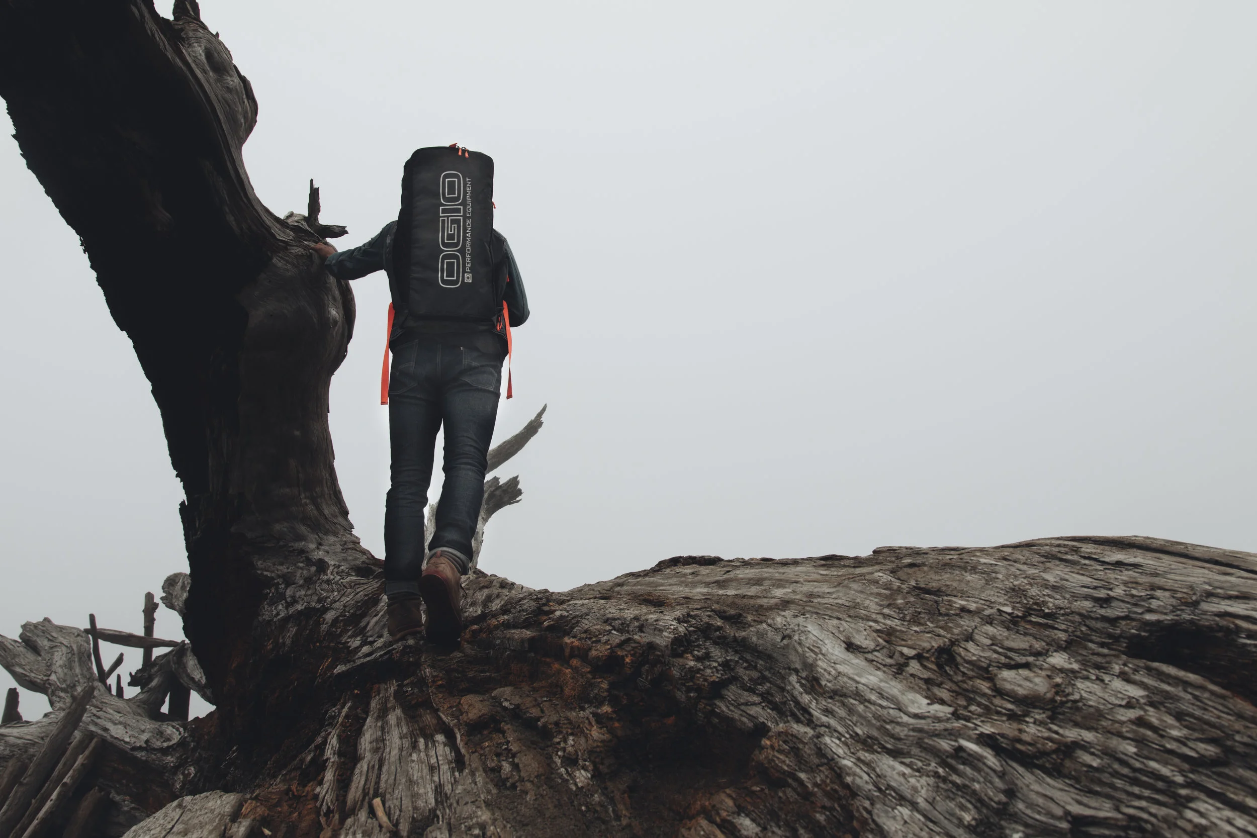 la push 3 (1 of 1).jpg