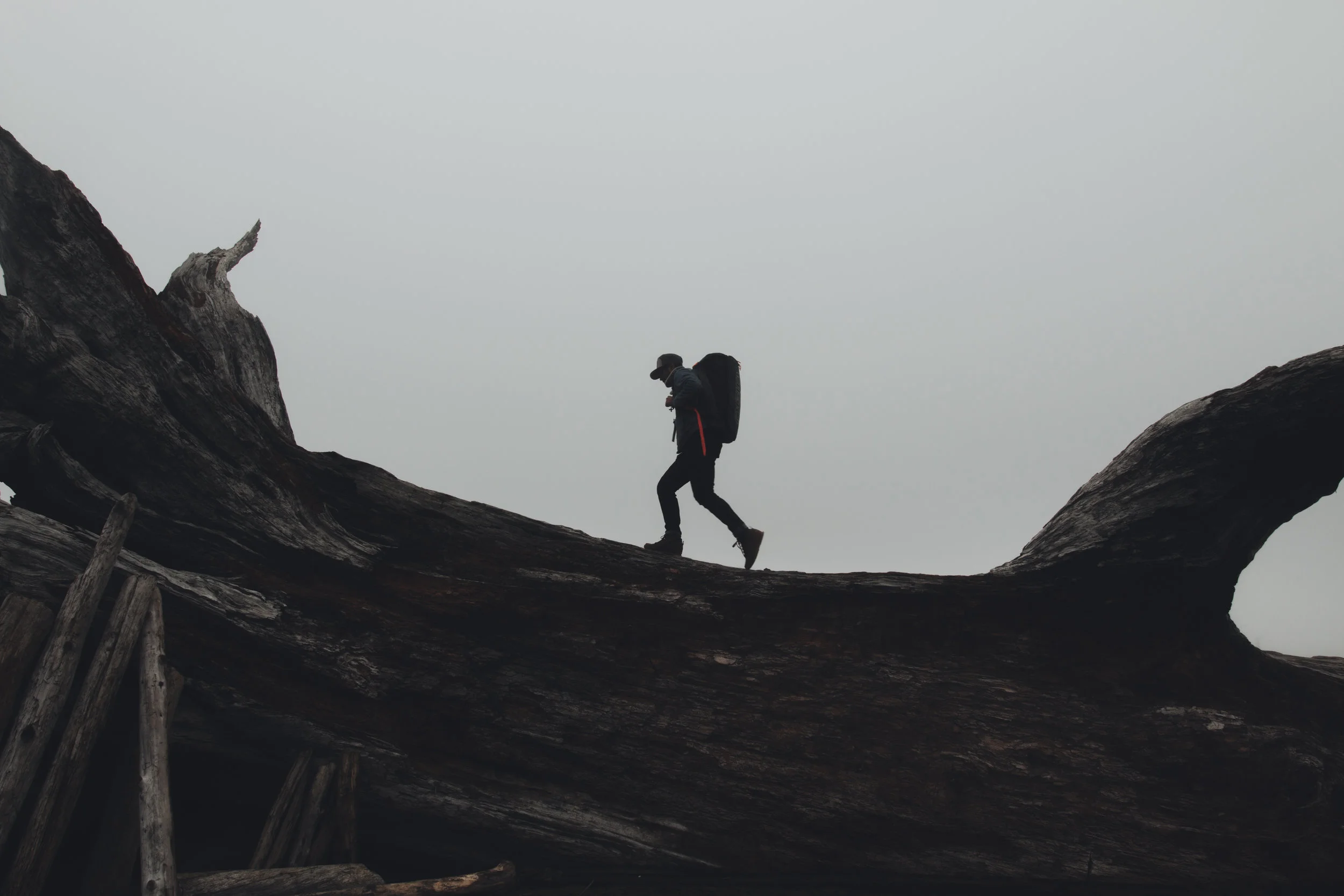 la push 4 (1 of 1).jpg