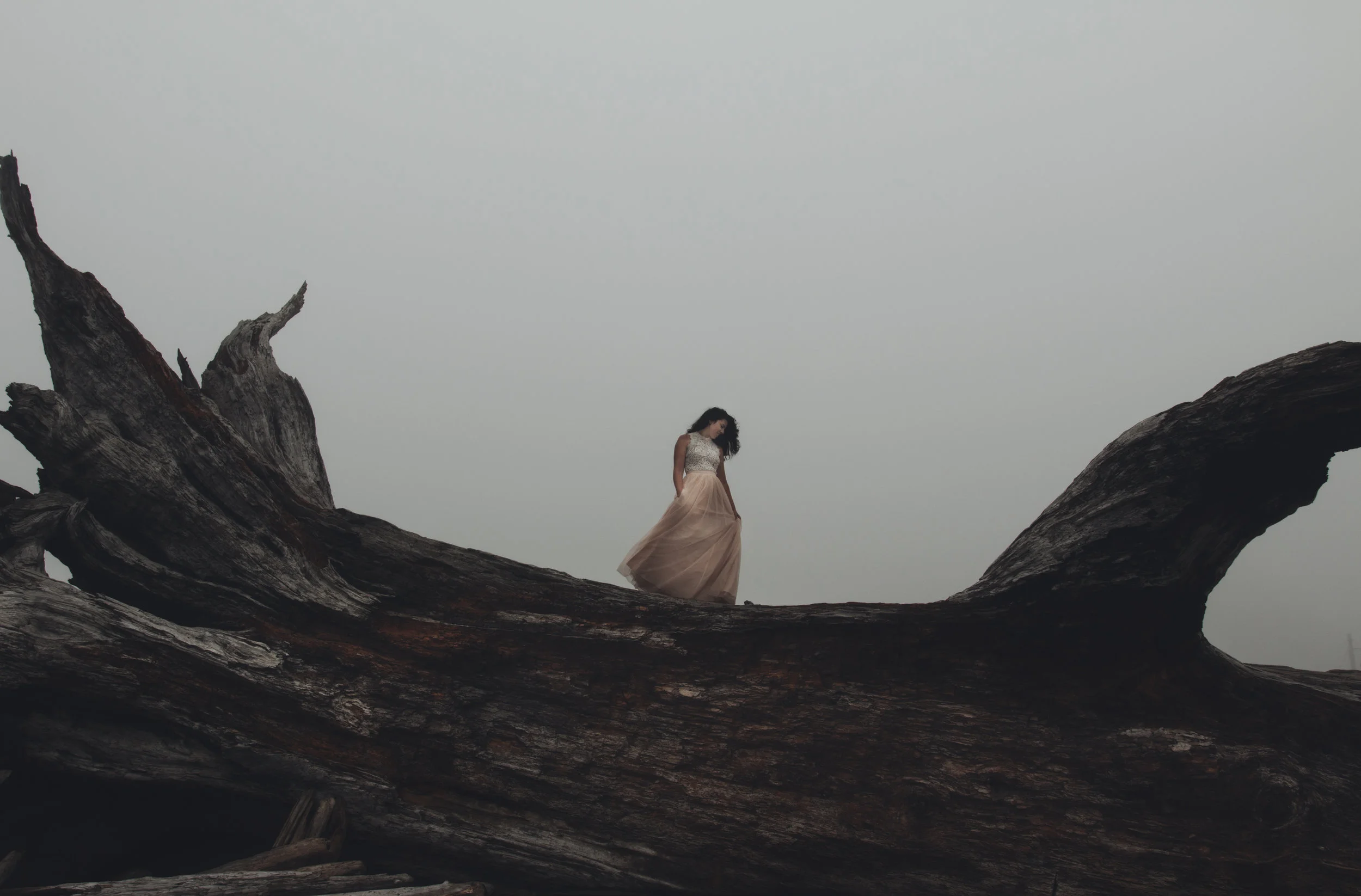 la push 6 (1 of 1).jpg