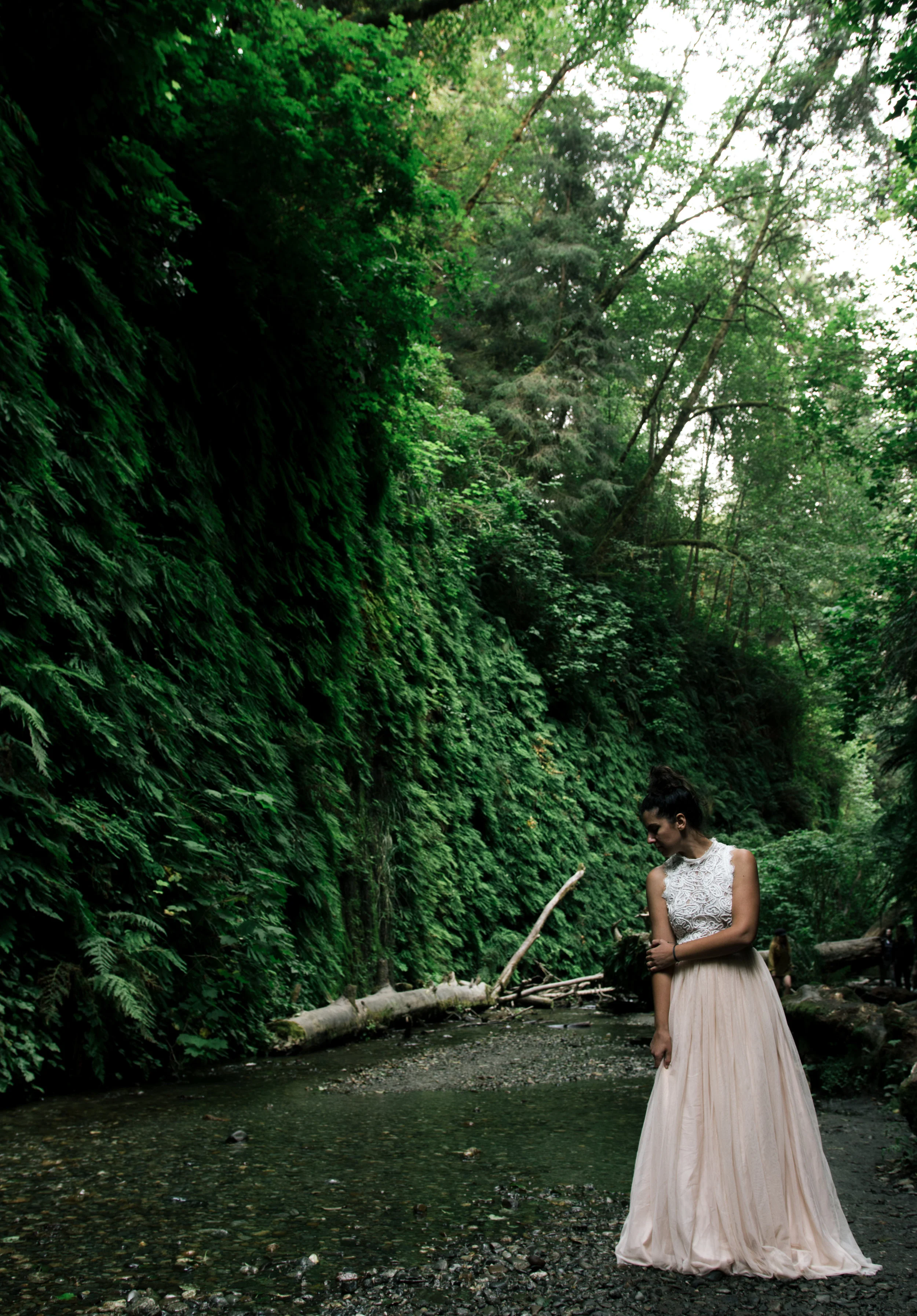 lela fern (1 of 1).jpg