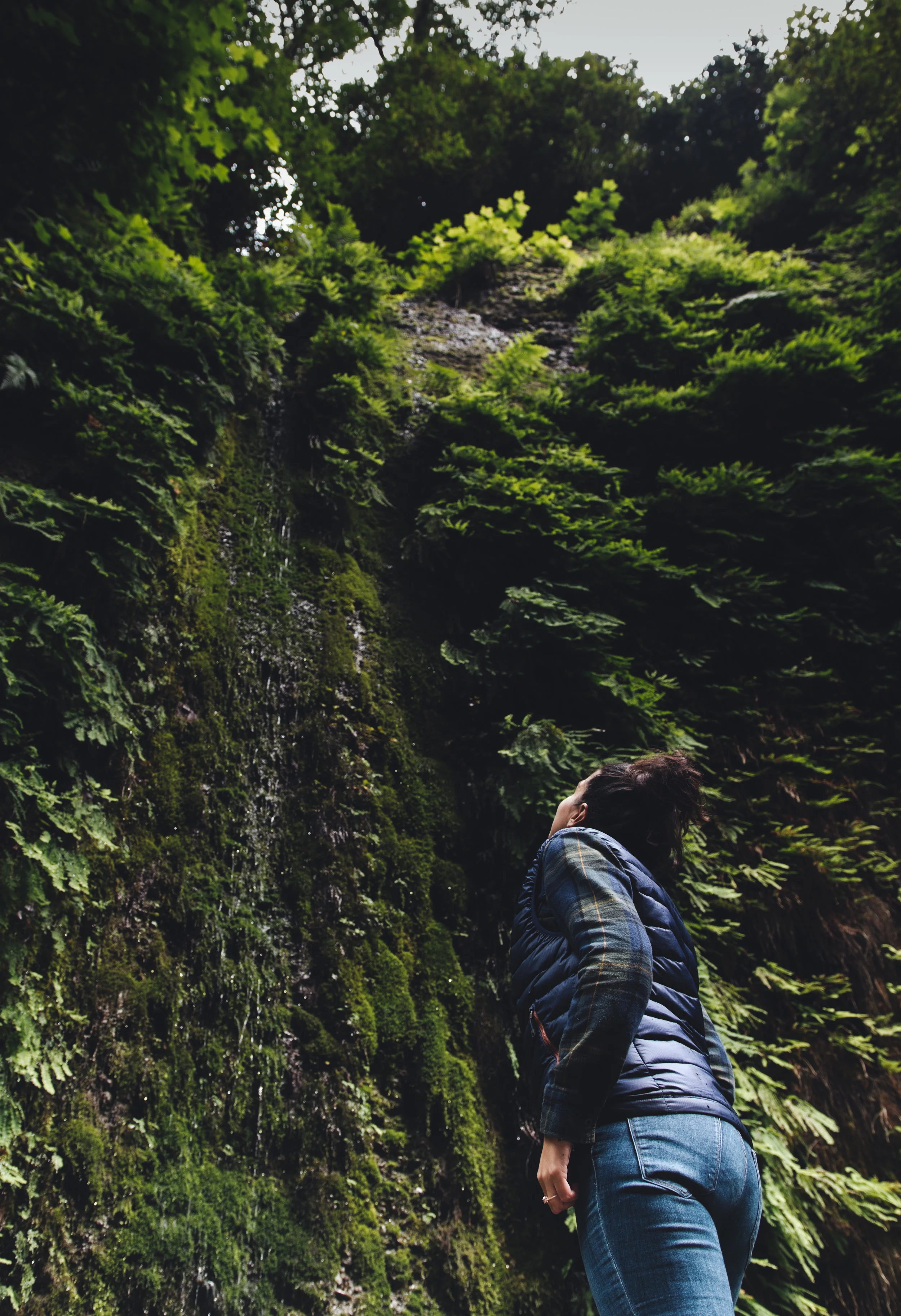 lela fern looking up (1 of 1).jpg