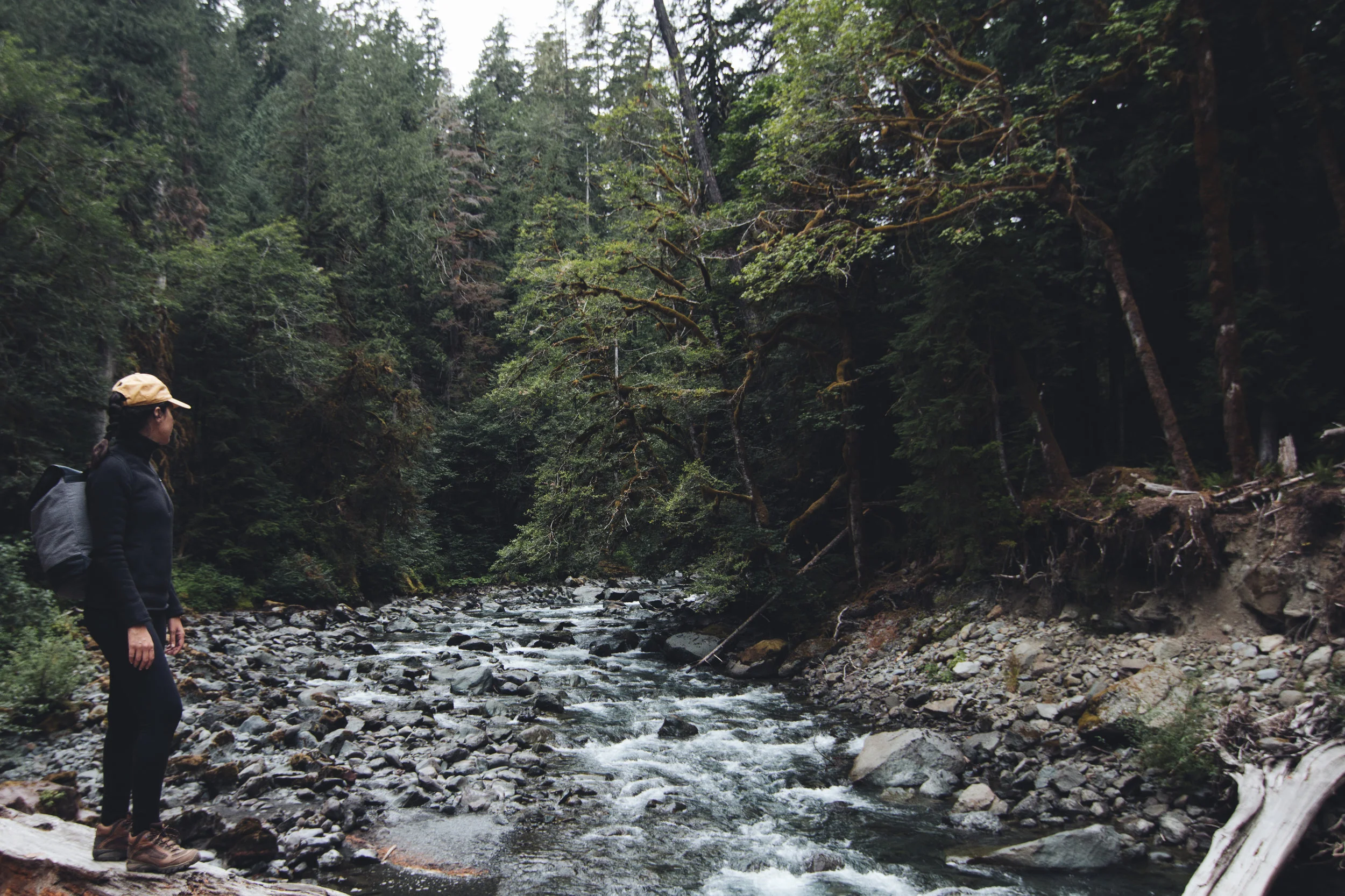 lela log water (1 of 1).jpg