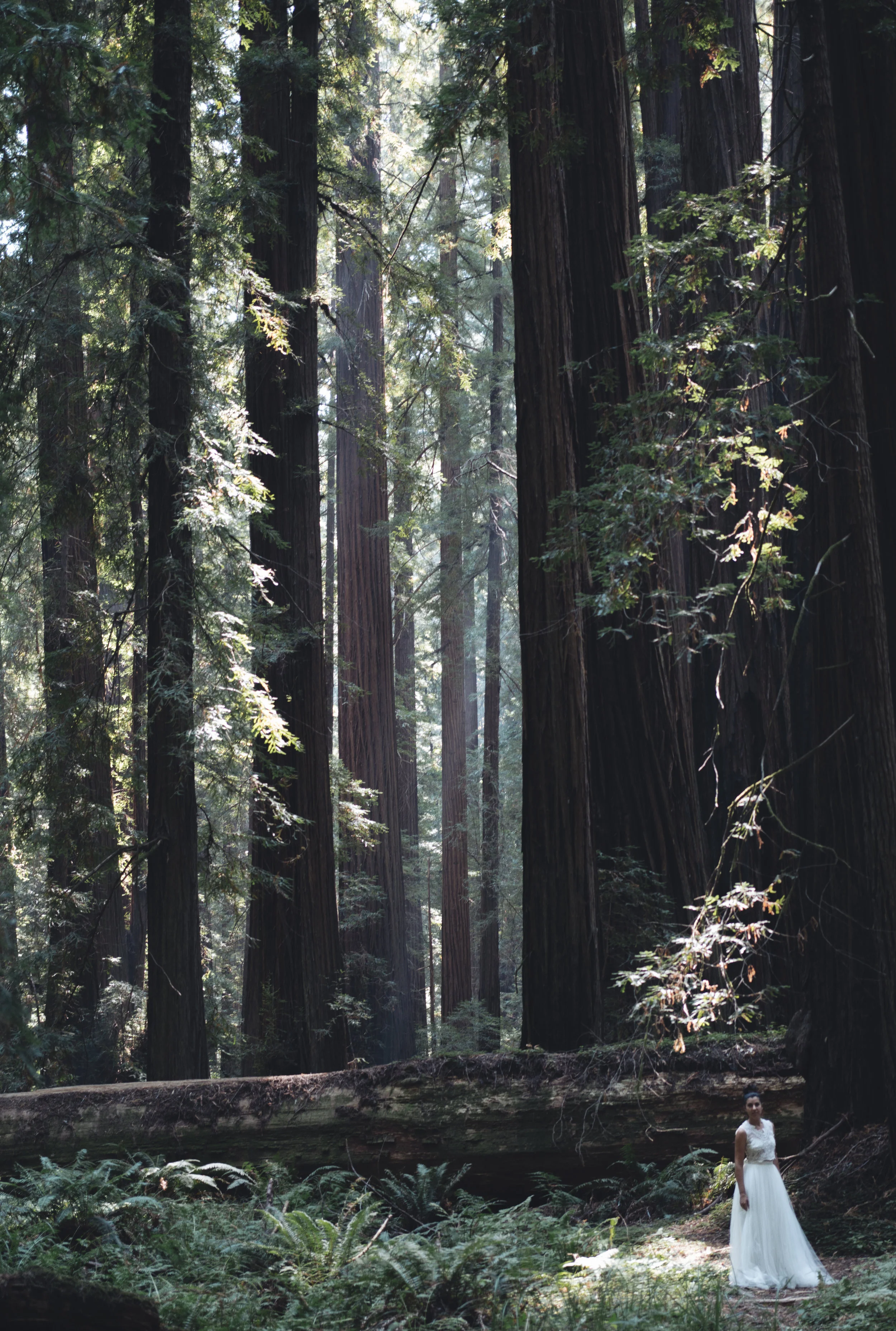 lela standing in trees (1 of 1).jpg