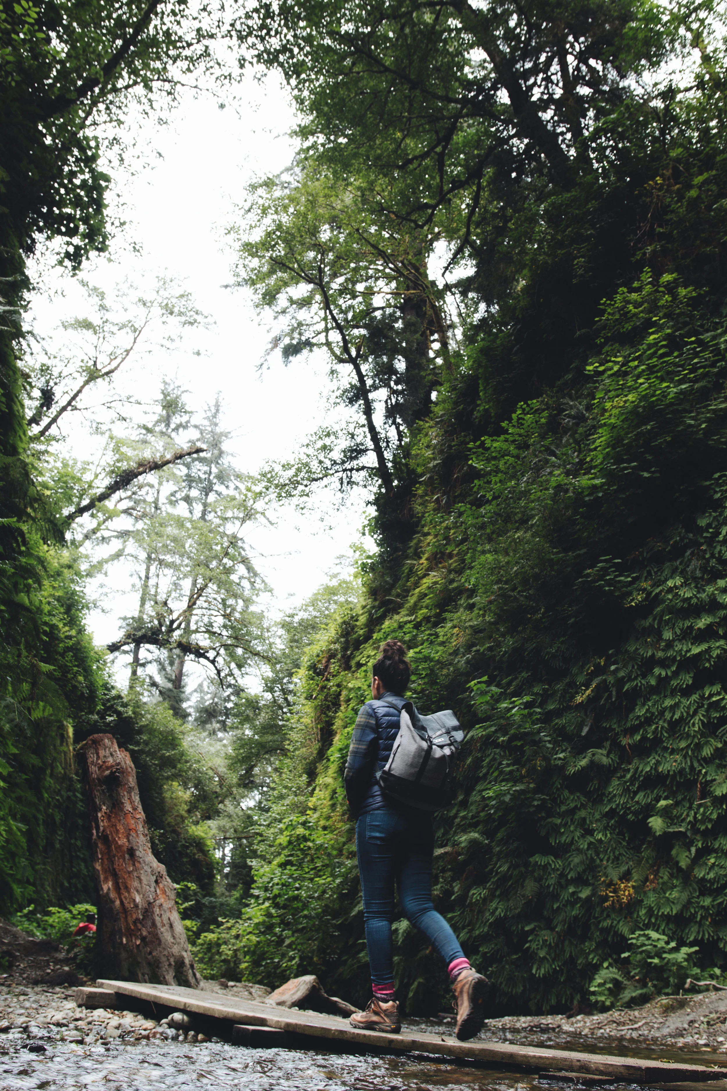 lela walkers (1 of 1).jpg