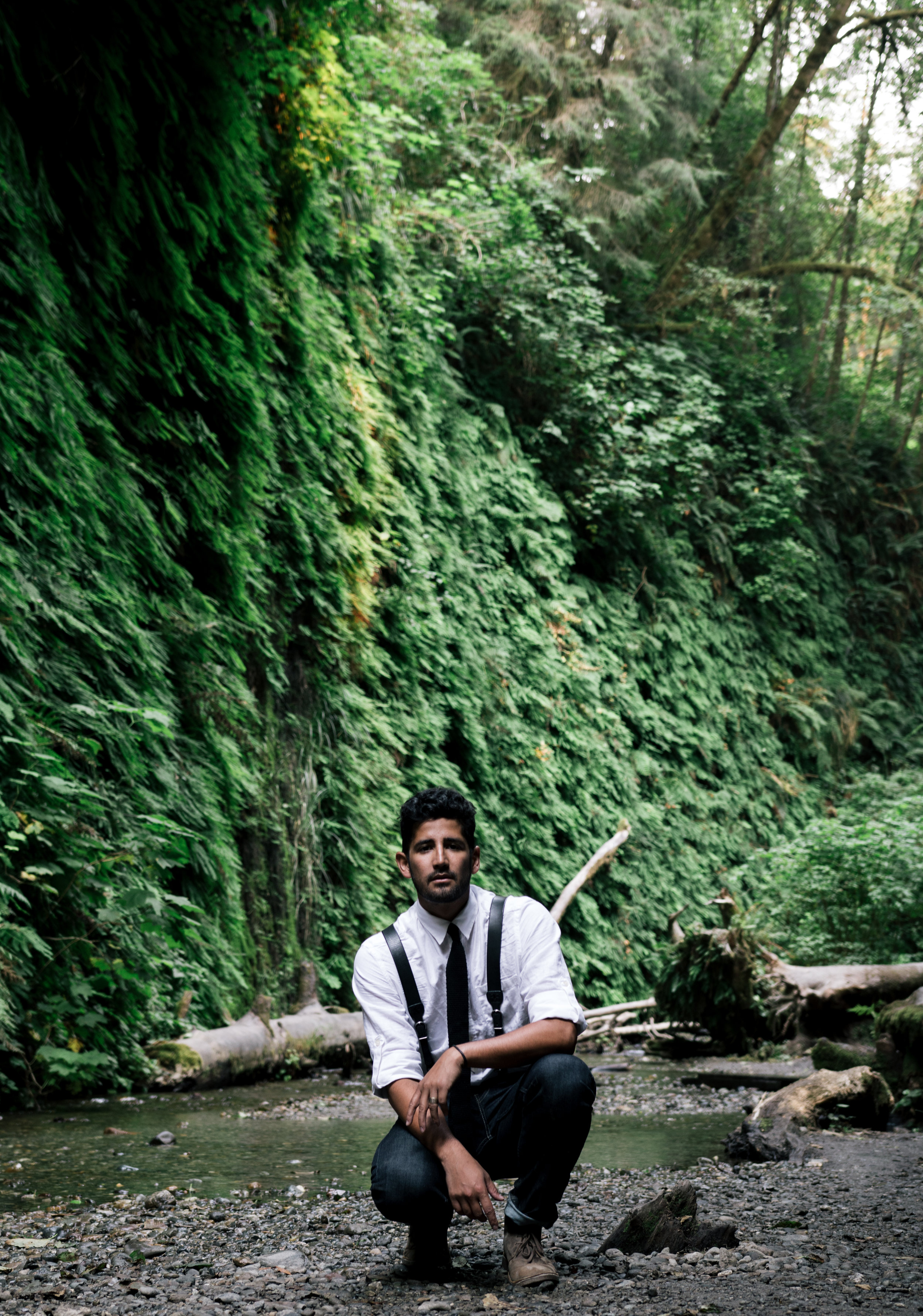 mical fern (1 of 1).jpg