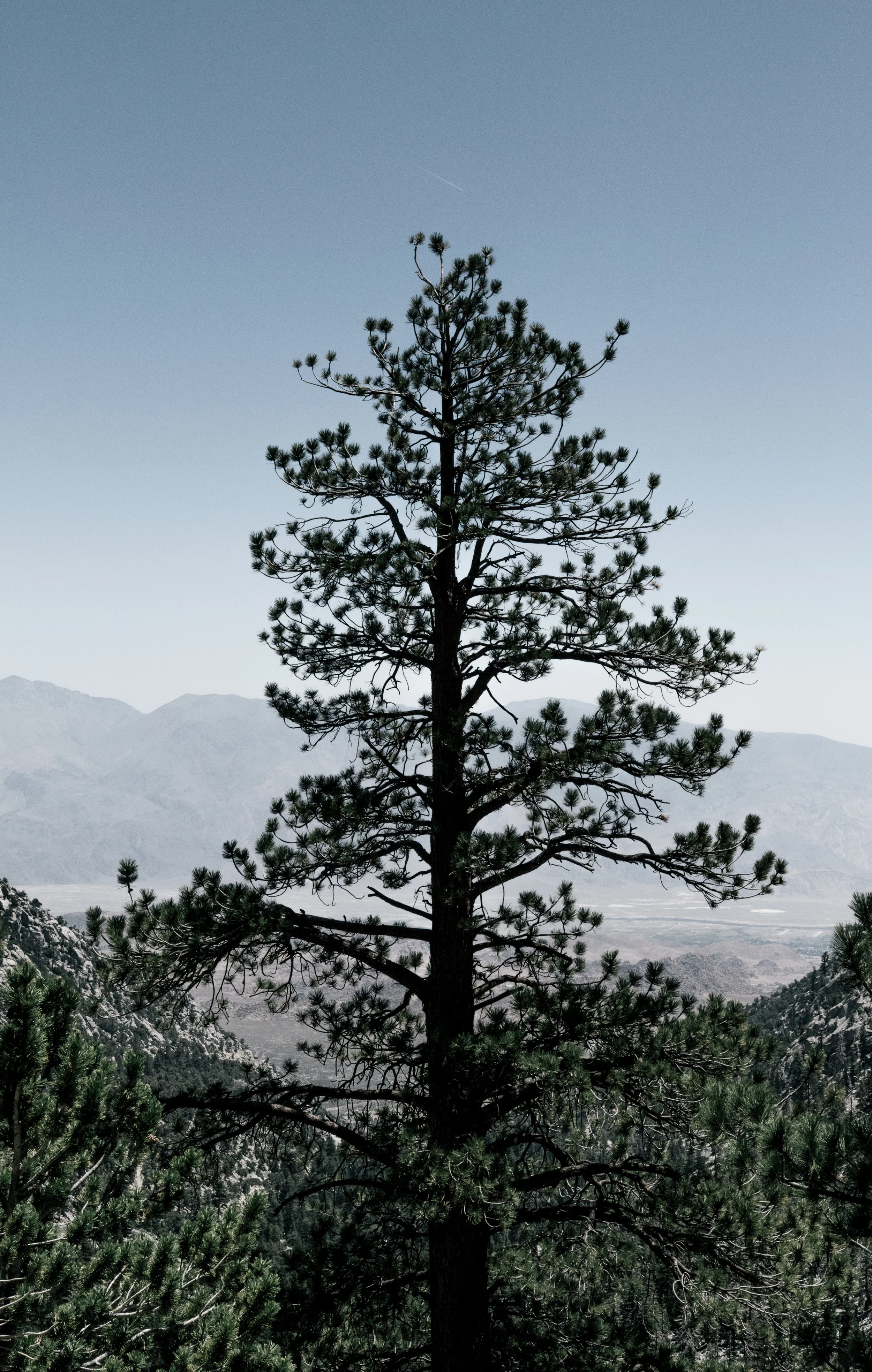 Mt. Whitney (56 of 71).jpg