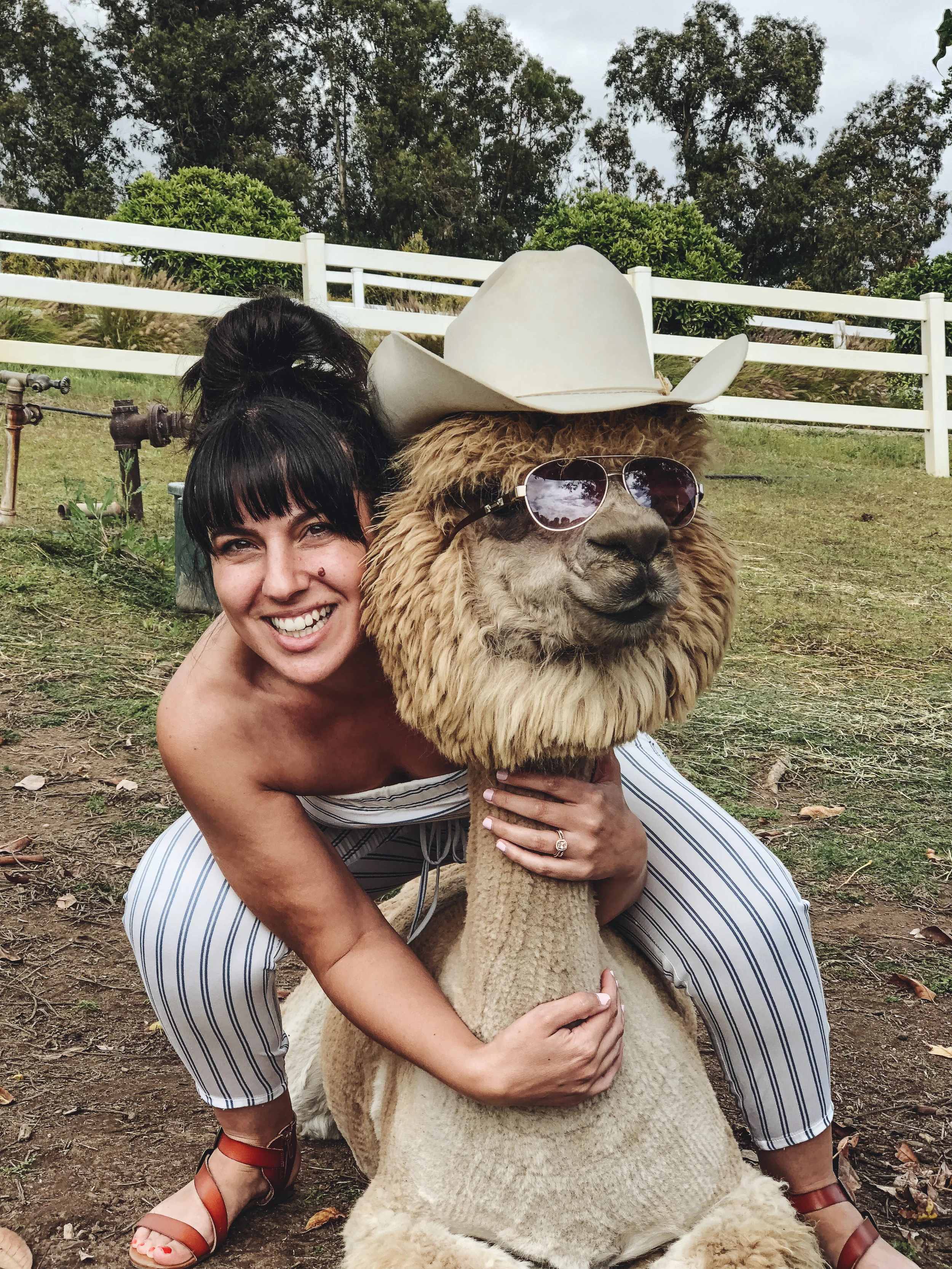 LLAMAs (2 of 20).jpg