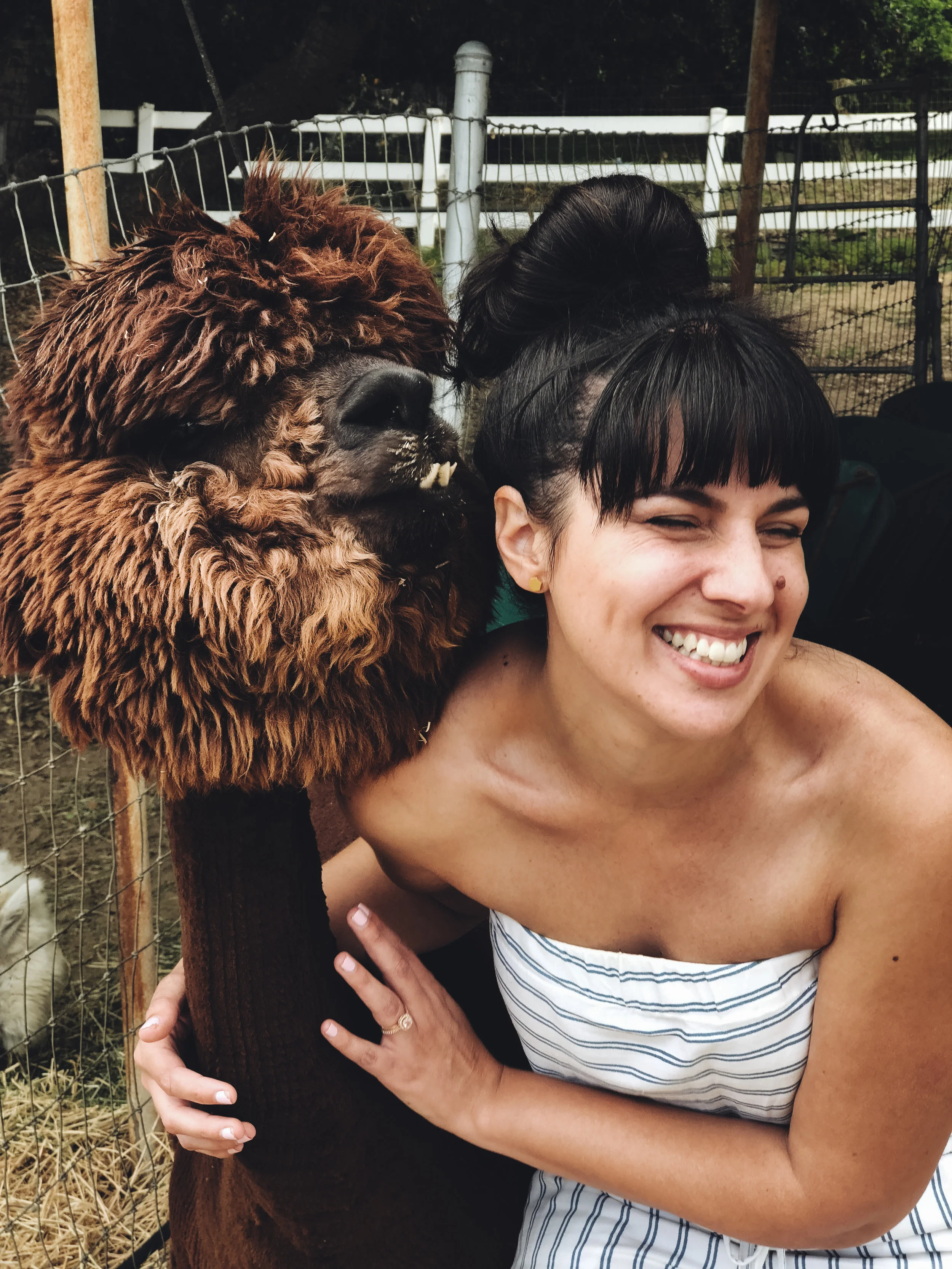 LLAMAs (8 of 20).jpg