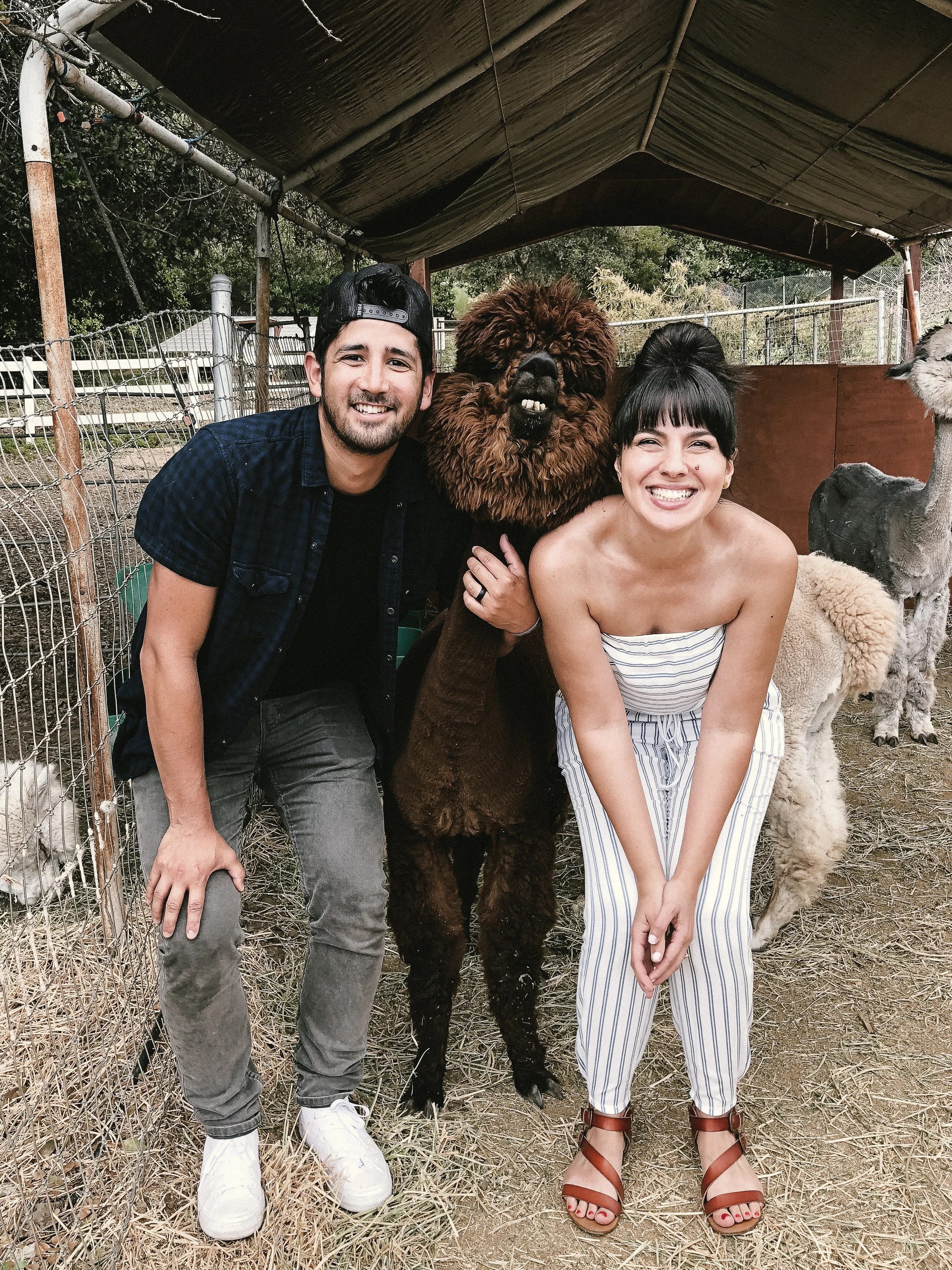 LLAMAs (9 of 20).jpg