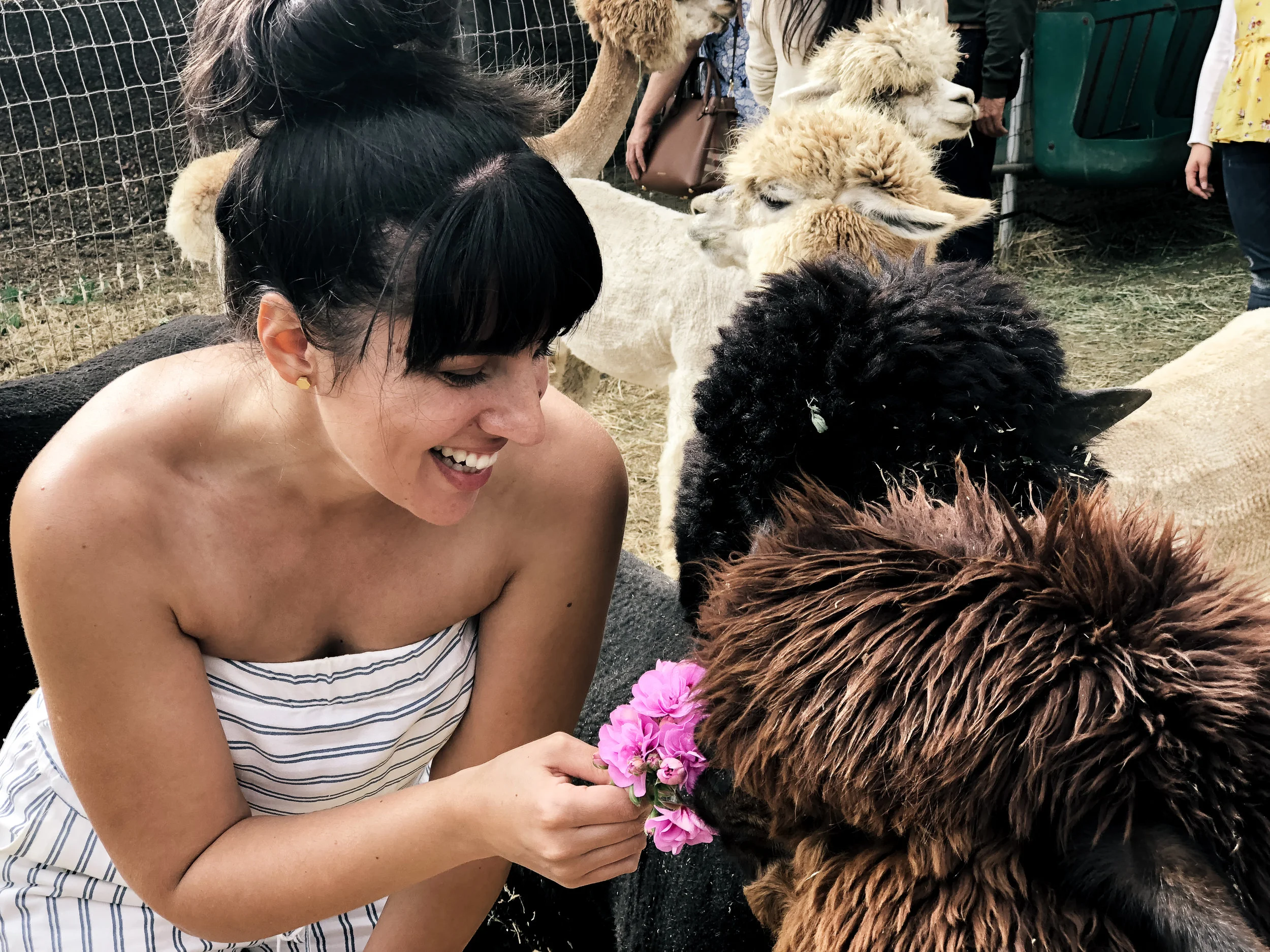 LLAMAs (14 of 20).jpg