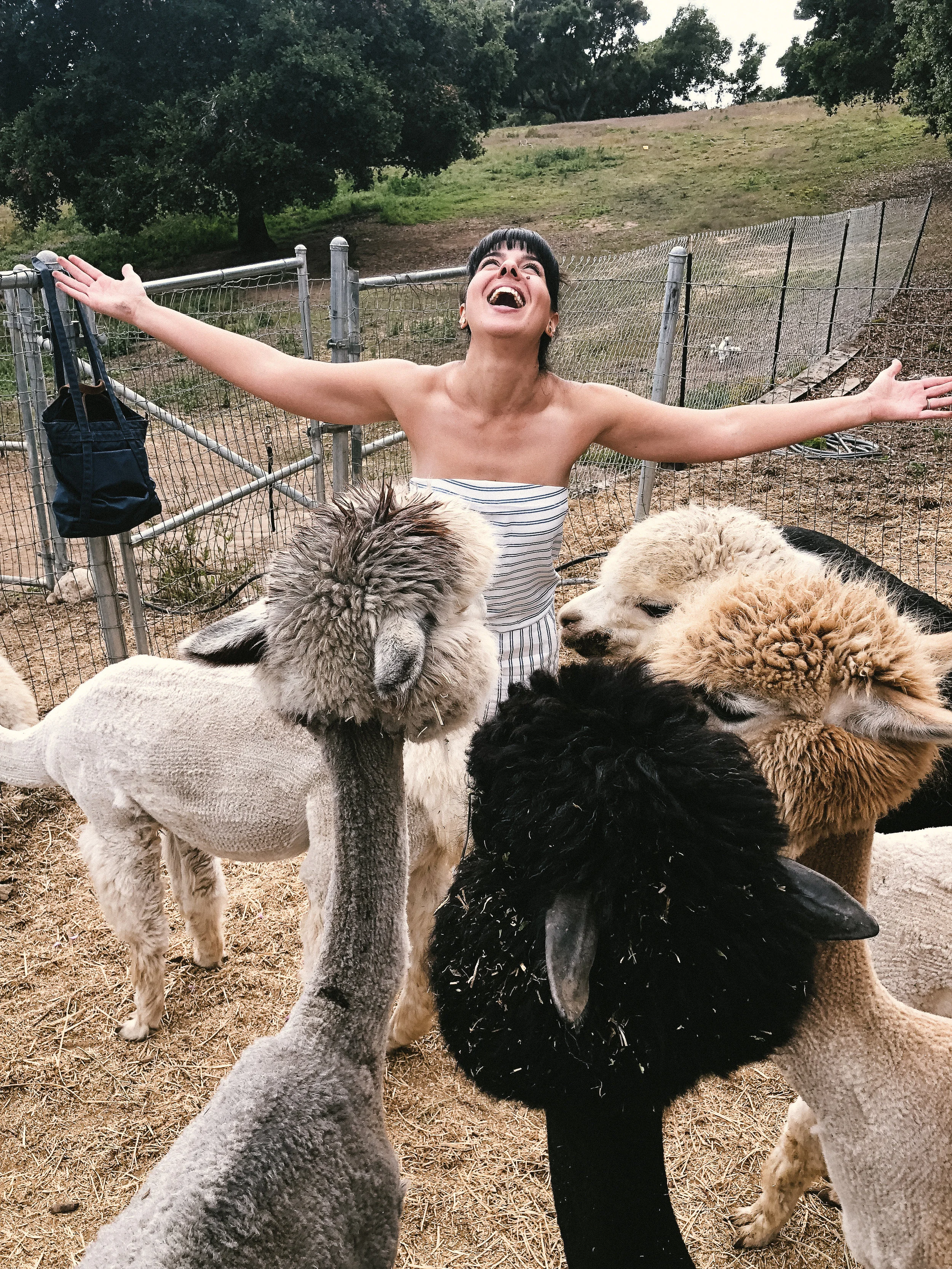 LLAMAs (15 of 20).jpg