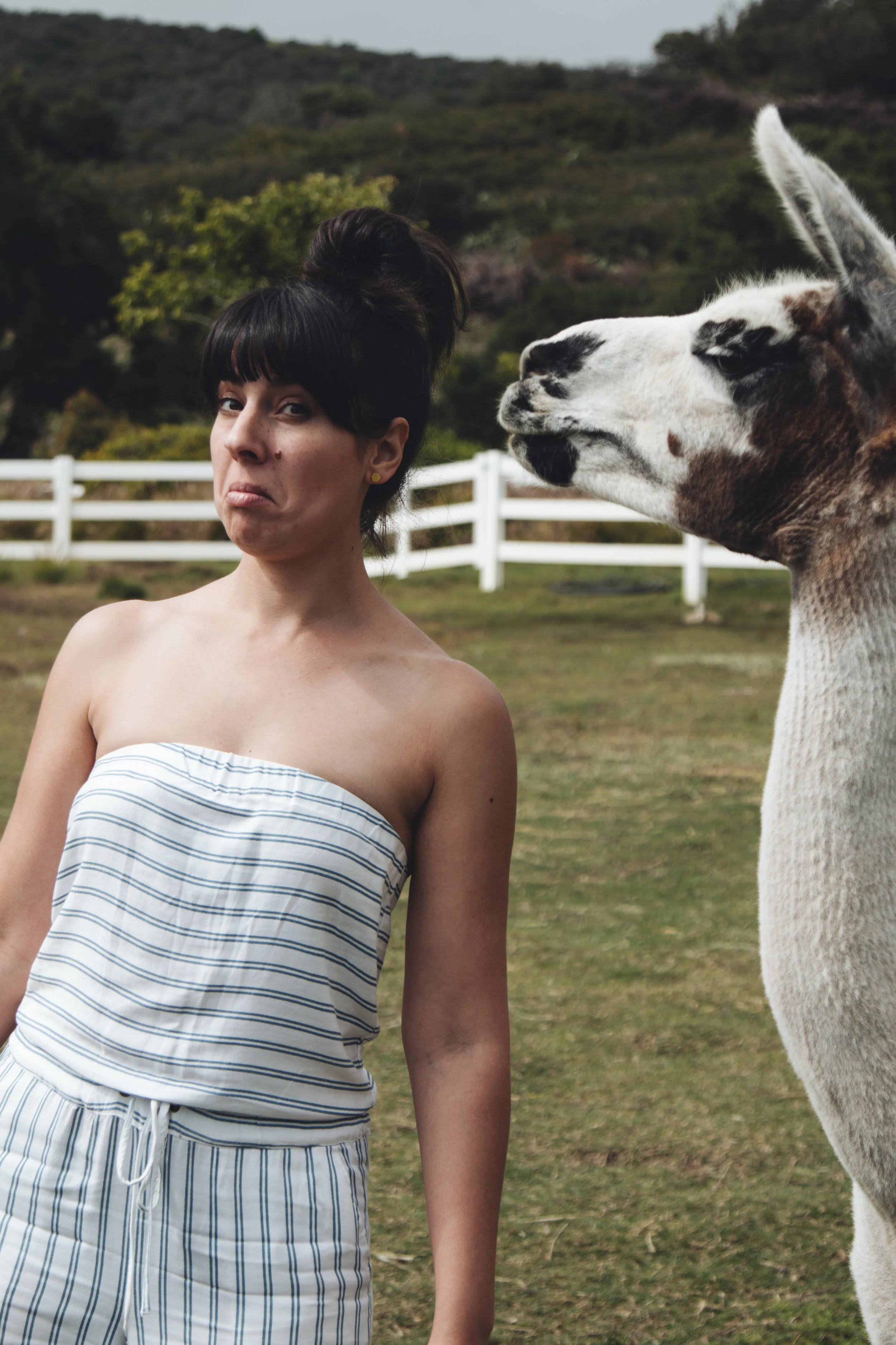 LLAMAsssss (11 of 19).jpg