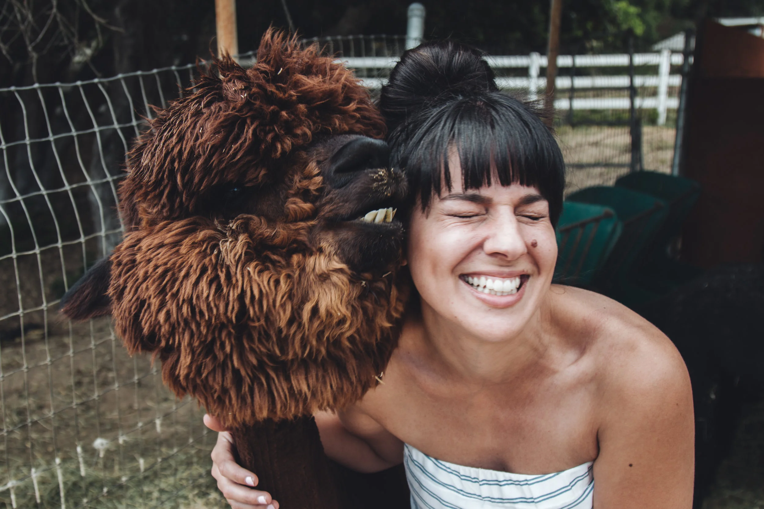 LLAMAsssss (15 of 19).jpg