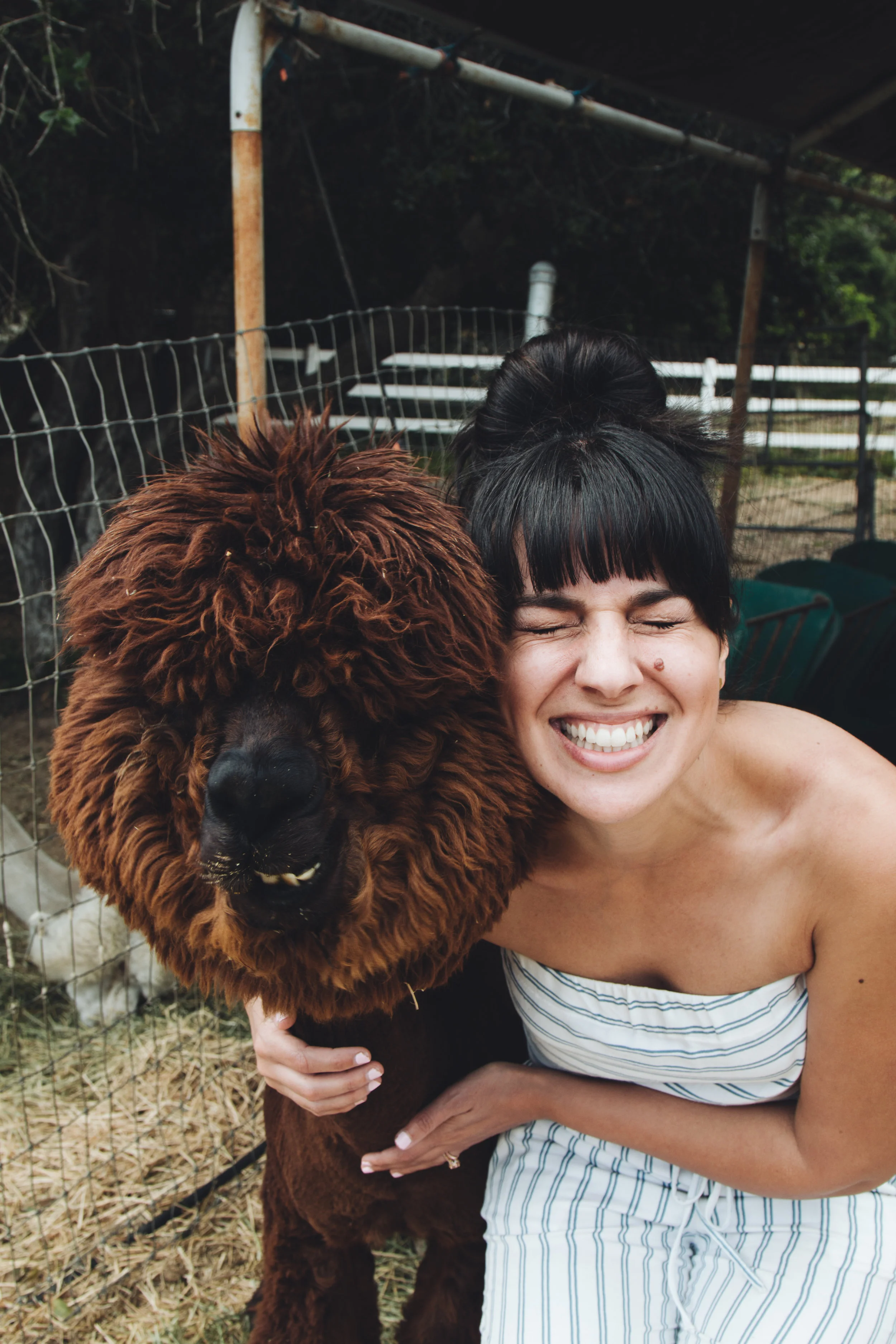 LLAMAsssss (14 of 19).jpg